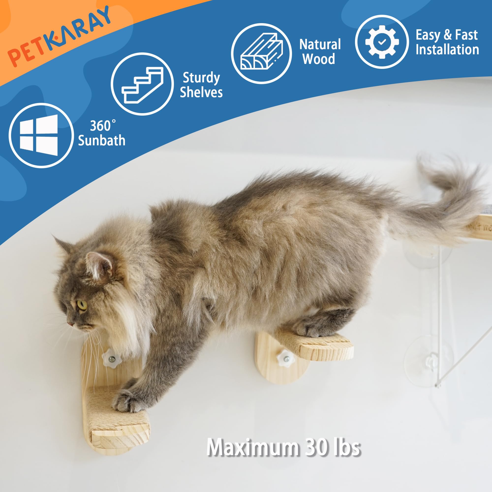 Petkaray Cat Window Shelf, Original Cat Window Perch Stairs, Durable Cat Seat For Window Sill, Sturdy Window Step For Indoor Cat