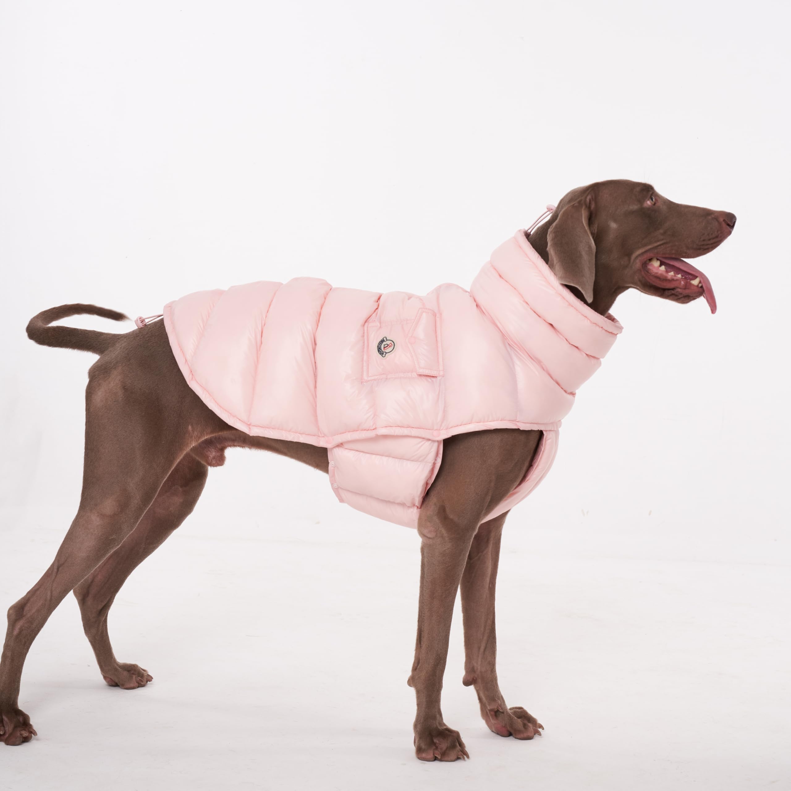 Chochocho Winter Jacket, Cold Weather Coats, Lightweight, Thermal Insulated, Water-Resistant, Adjustable Dogs Jackets With Leash