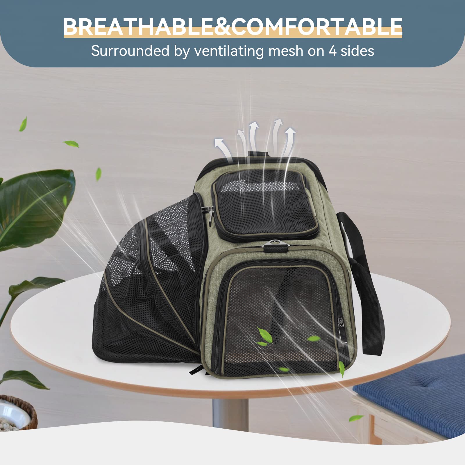 Petsfit Expandable Rabbit Carrier Small Cat Carrier Airline Approved, 16X10X9 Inches Soft-Sided Portable Small Animal Travel Bag For Kitten/Puppy/Bunny/Guinea Pig