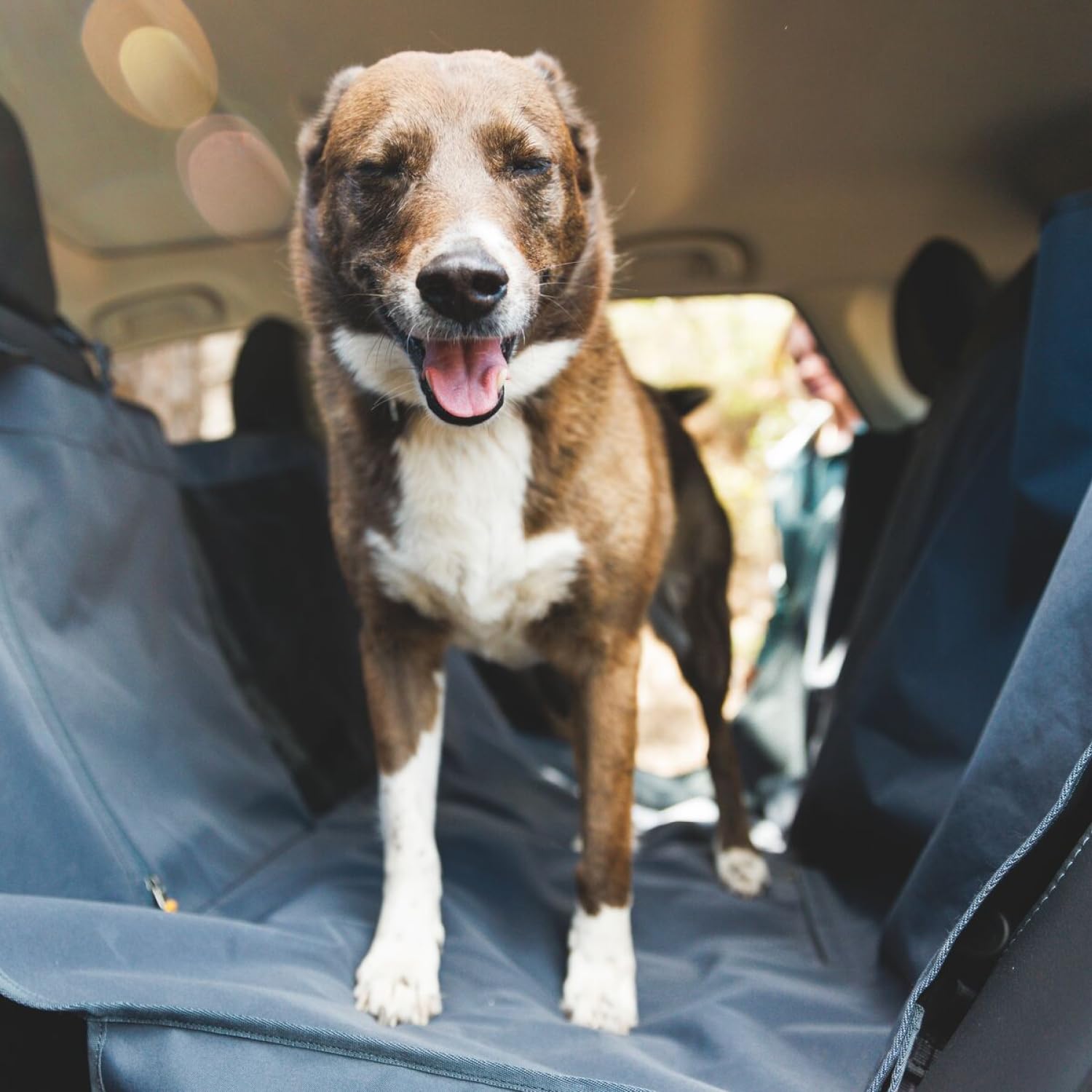 Ruffwear, Dirtbag Seat Cover, Dog Car Seat Cover, Basalt Gray