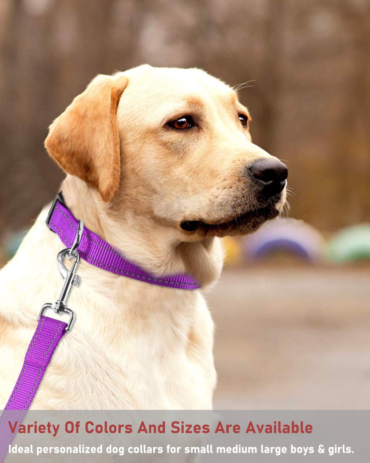 Reflective Dog Collar With Buckle Adjustable Safety Nylon Collars For Small Medium Large Dogs, Purple Xxs
