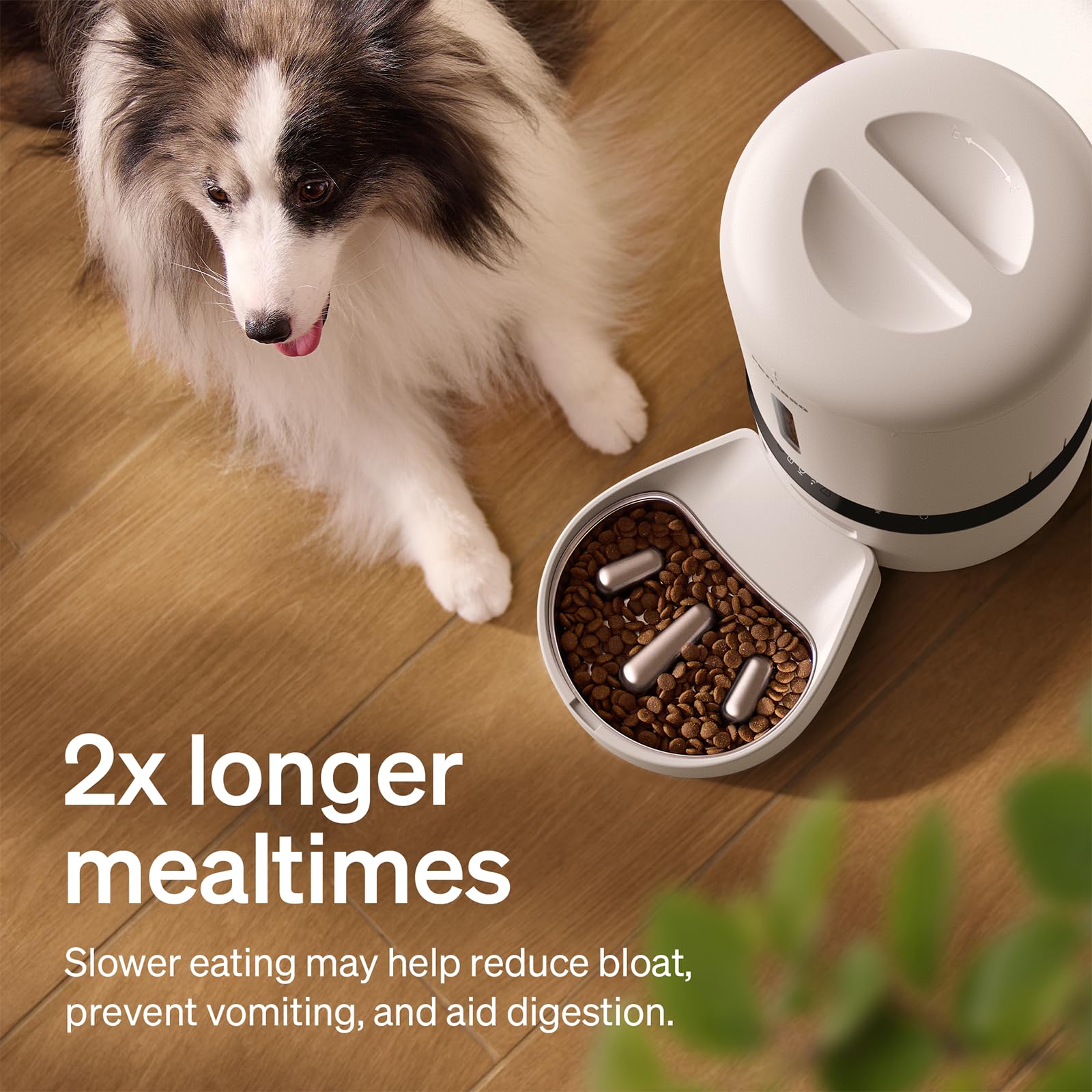 PETLIBRO Automatic Cat Feeder with Camera, Auto Pet Food Dispenser Slow Feeder Dog Bowl 1080P HD Video with Night Vision 5G WiFi