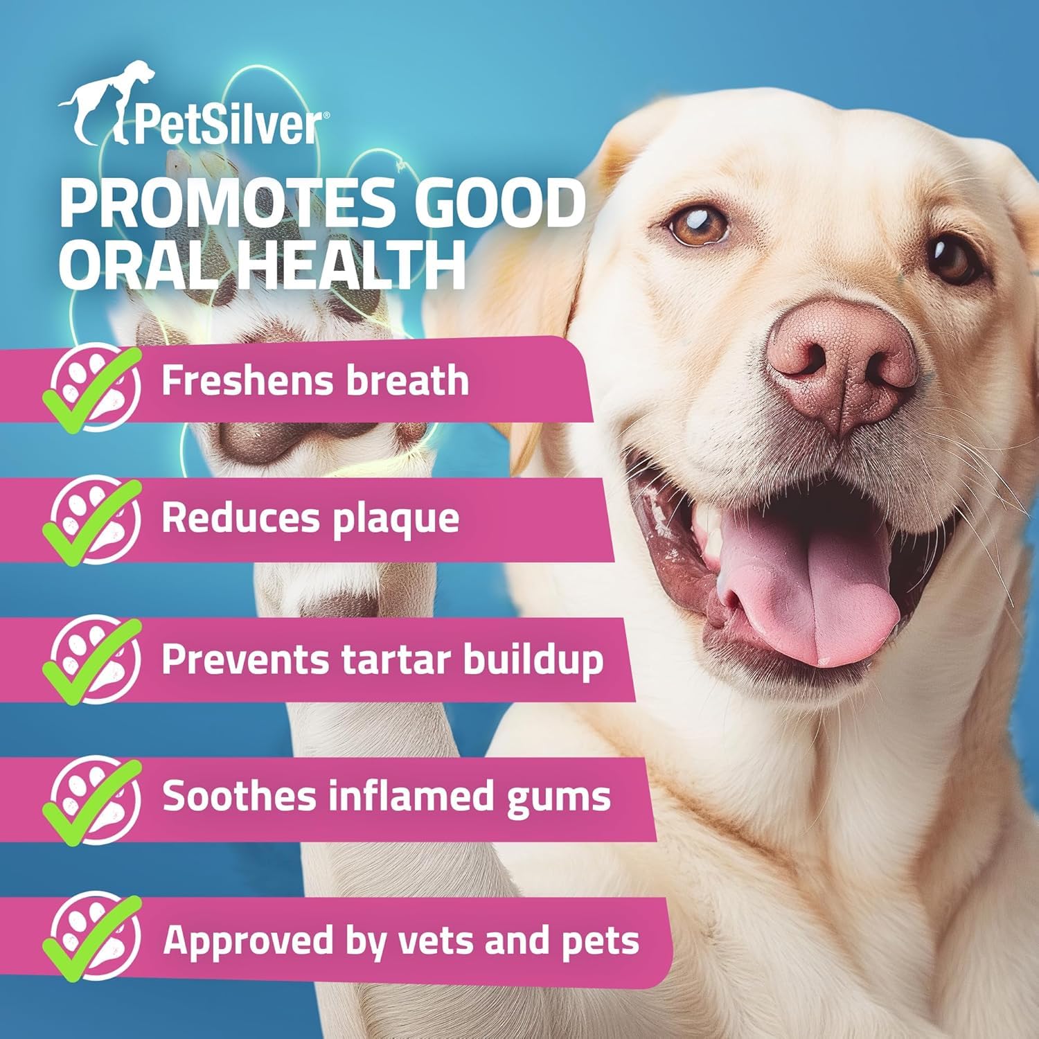 PetSilver Teeth & Gum Spray for Dogs & Cats, Natural Dental Care, 2-Pack 4 oz, Eliminates Bad Breath, Targets Tartar & Plaque