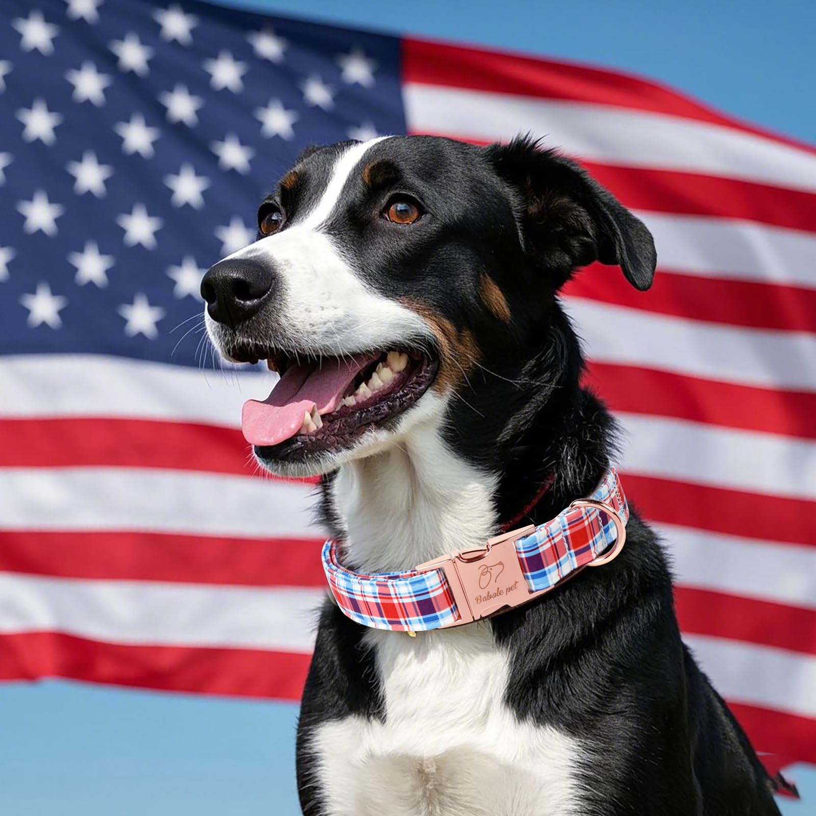 Babole Pet Adjustable Plaid Boy Dog Collar - Classic Boy Dog Plaid Collars For Medium Dogs, Durable Red White Blue Heavy Duty Me