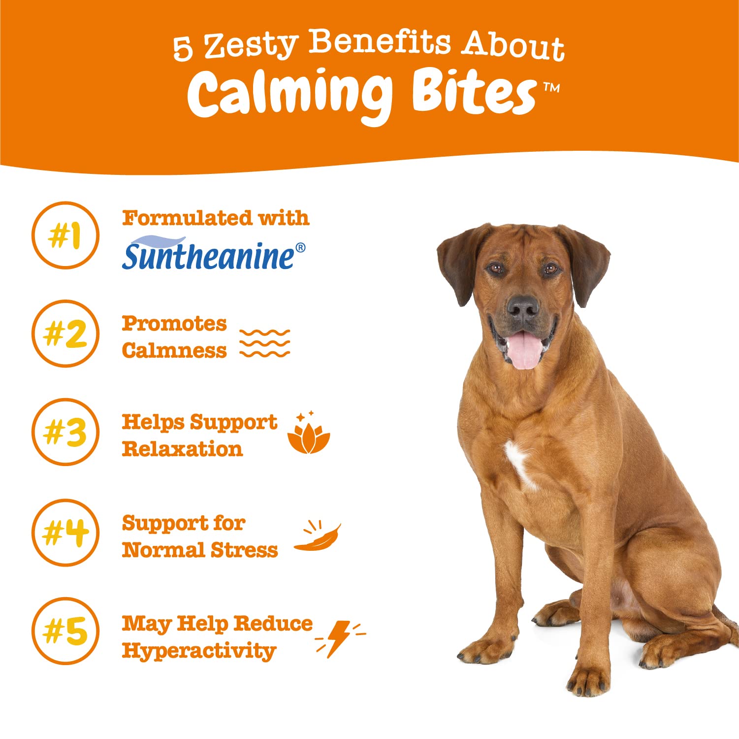 Zesty Paws Calming Chews for Dogs - Dog Calming Chews for Composure & Relaxation - Dog Calming Treats for Everyday Stress & Sepa