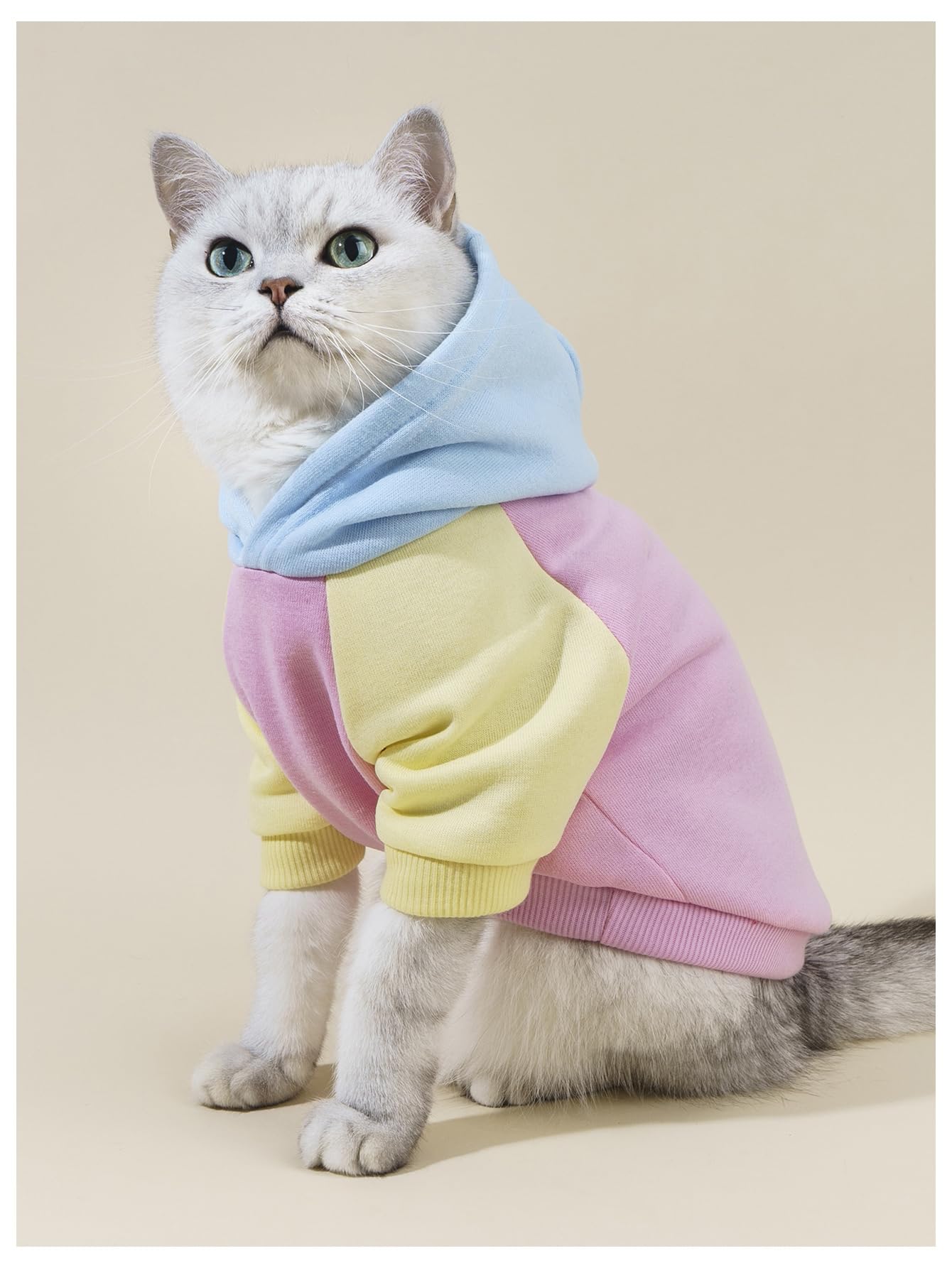 Qwinee Basic Dog Hoodie, Cat Apparel, Dog Shirt, Pink X-Small & Medium