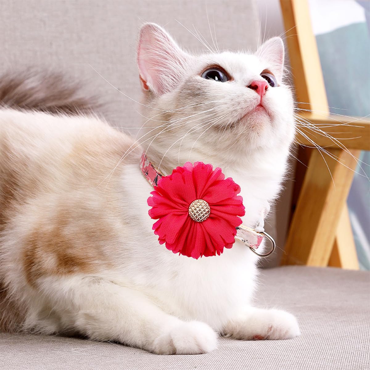 Pet Show Pink Red Dog Collar Flower Charms Accessories Slides On Girls Cat Puppies Rabbits Collars Bows Wedding Grooming Costumes