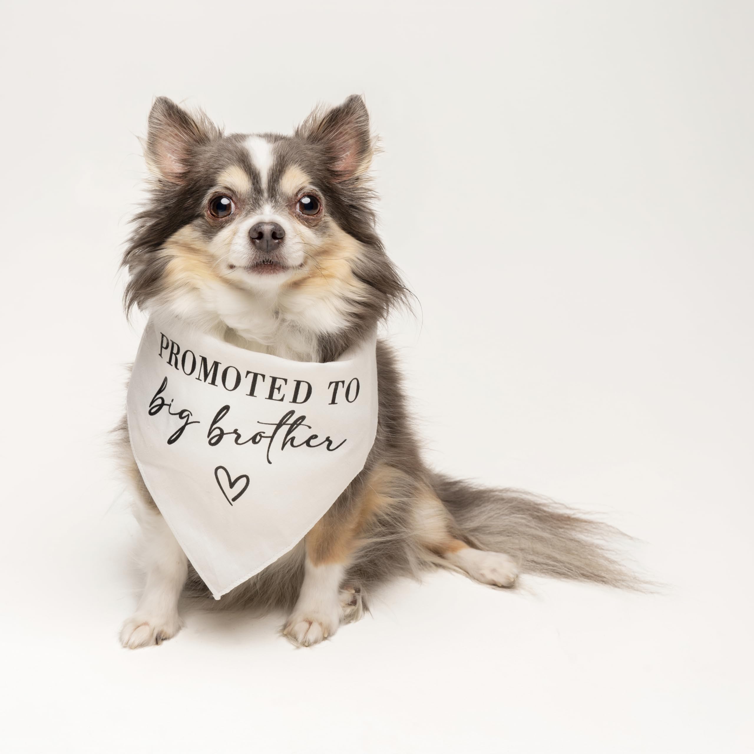 Promoted To Big Brother Dog Bandana | 100% Cotton Adjustable Triangle | Pregnancy Announcement | New Baby Made In Usa | Baby Pin