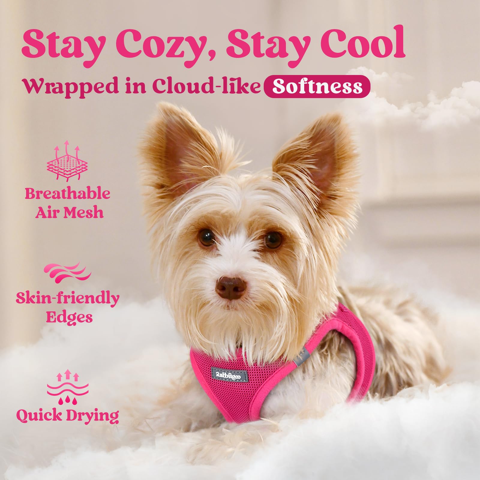 Rabbitgoo Small Dog Harness, Step-In Soft Mesh Puppy Vest, Easy Walk With Safety Buckle, Breathable Reflective Pet Harness For L