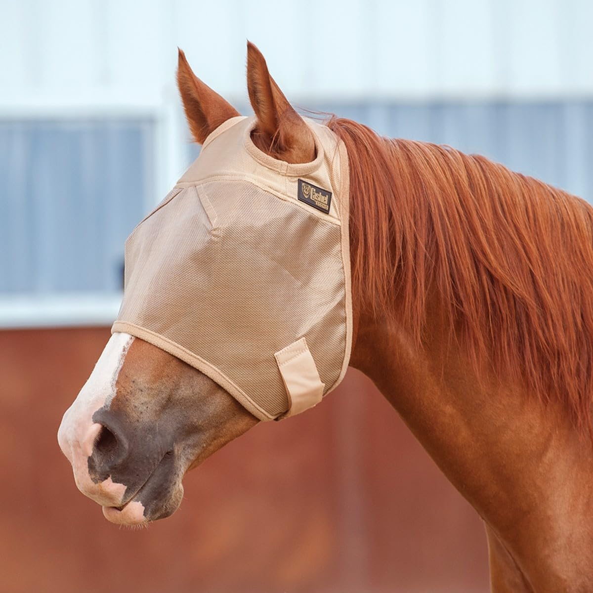 Cashel Economy Horse Fly Mask, Gold, Arabian
