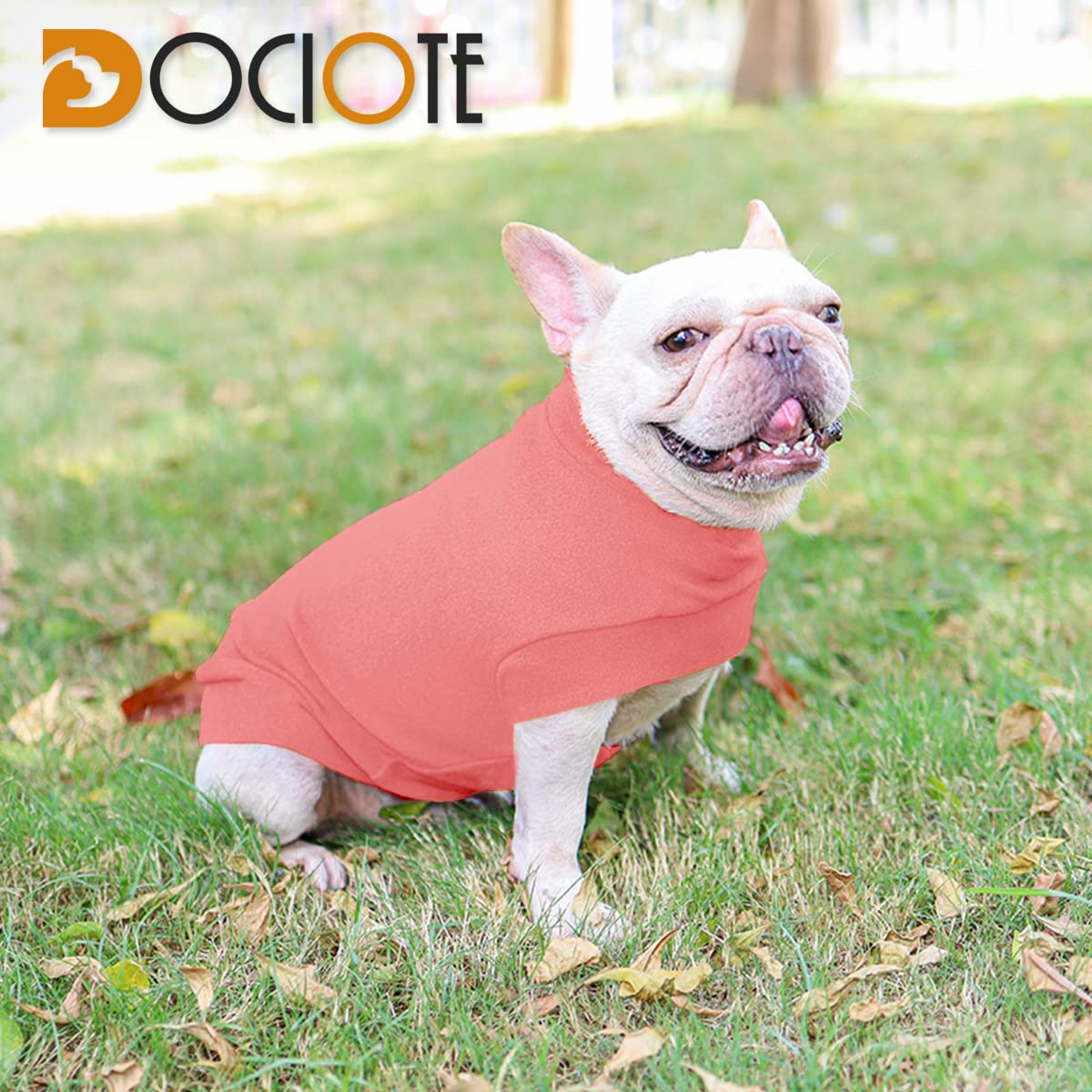 Small Dogs Fleece Dog Sweatshirt - Cold Weather Hoodies Spring Soft Vest Thickening Warm Cat Sweater Puppy Clothes Sweater Winter Sweatshirt Pet Pajamas For Small Dog Cat Puppy (Large, Red)