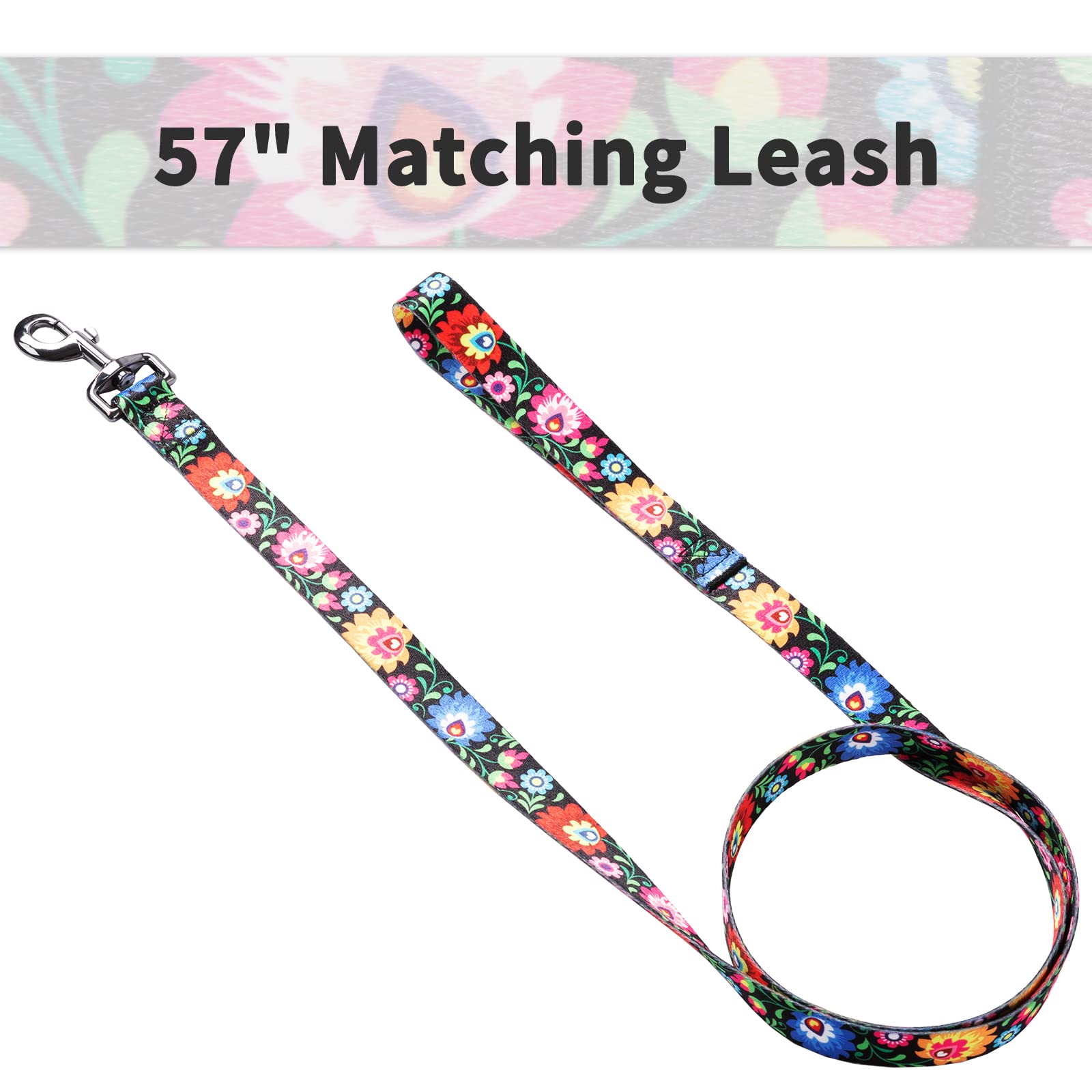 Ihoming Puppy Collar and Leash Set for Daily Outdoor Walking Running Training, Black Colorful Flowers Design for Extra Small Boy