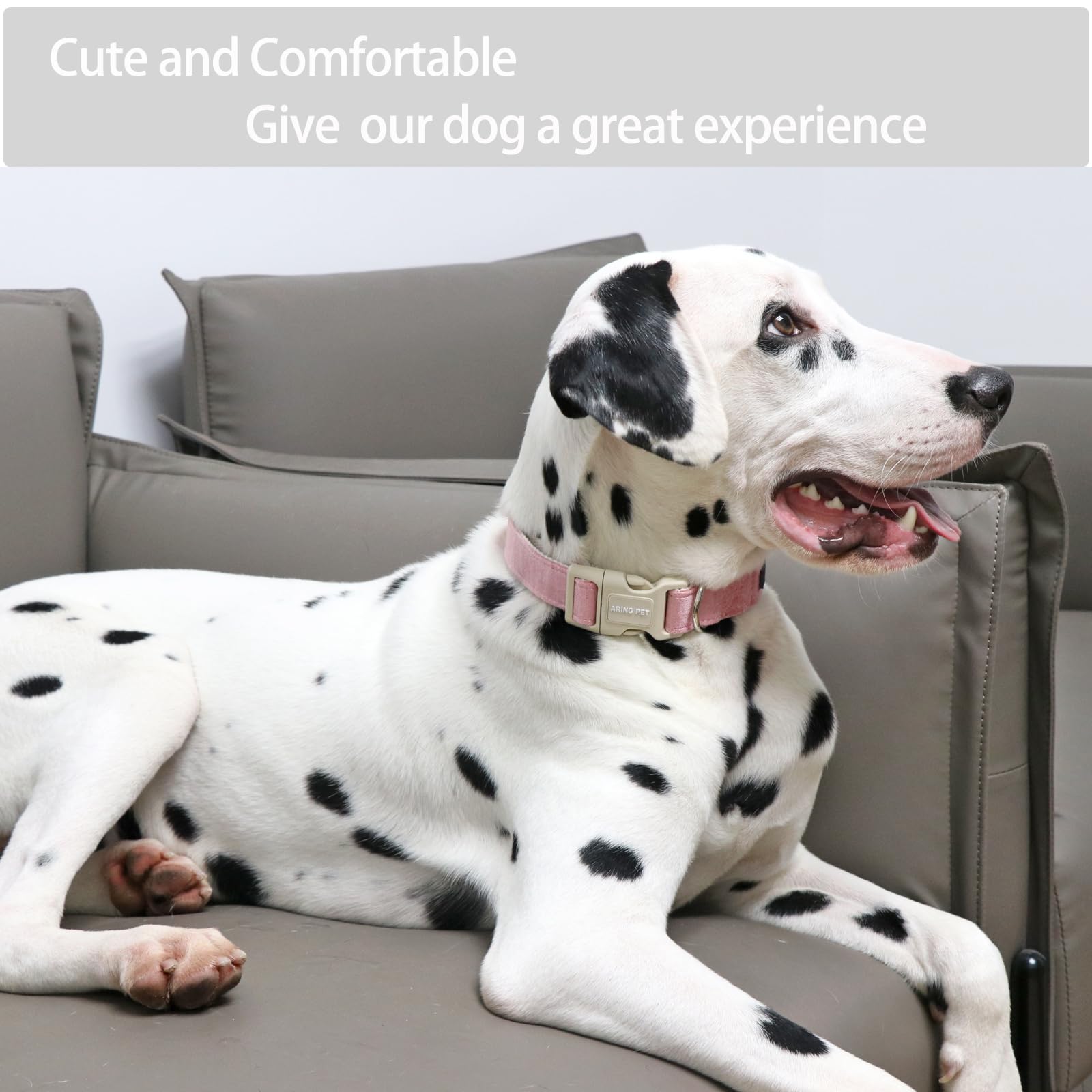 Aring Pet Pink Dog Collar-Cute Dog Collar For Small Dogs, Lightweight Cotton Wedding Pet Collars With Quick Release Buckle For Small Medium Large Dog
