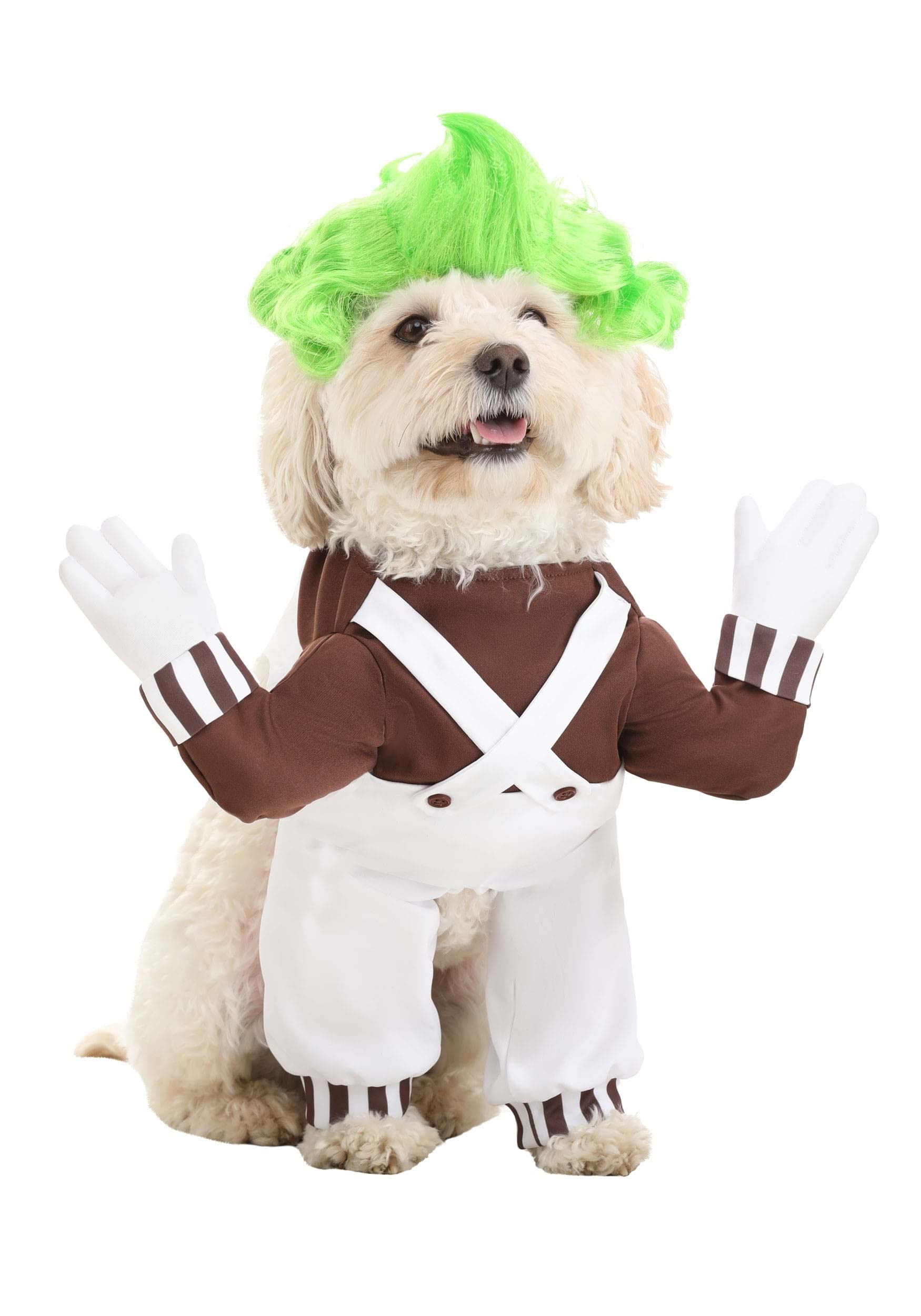 Fun Costumes Willy Wonka Pet's Oompa Loompa for Dogs and Cats, Chocolate Factory Worker for Pets - Large