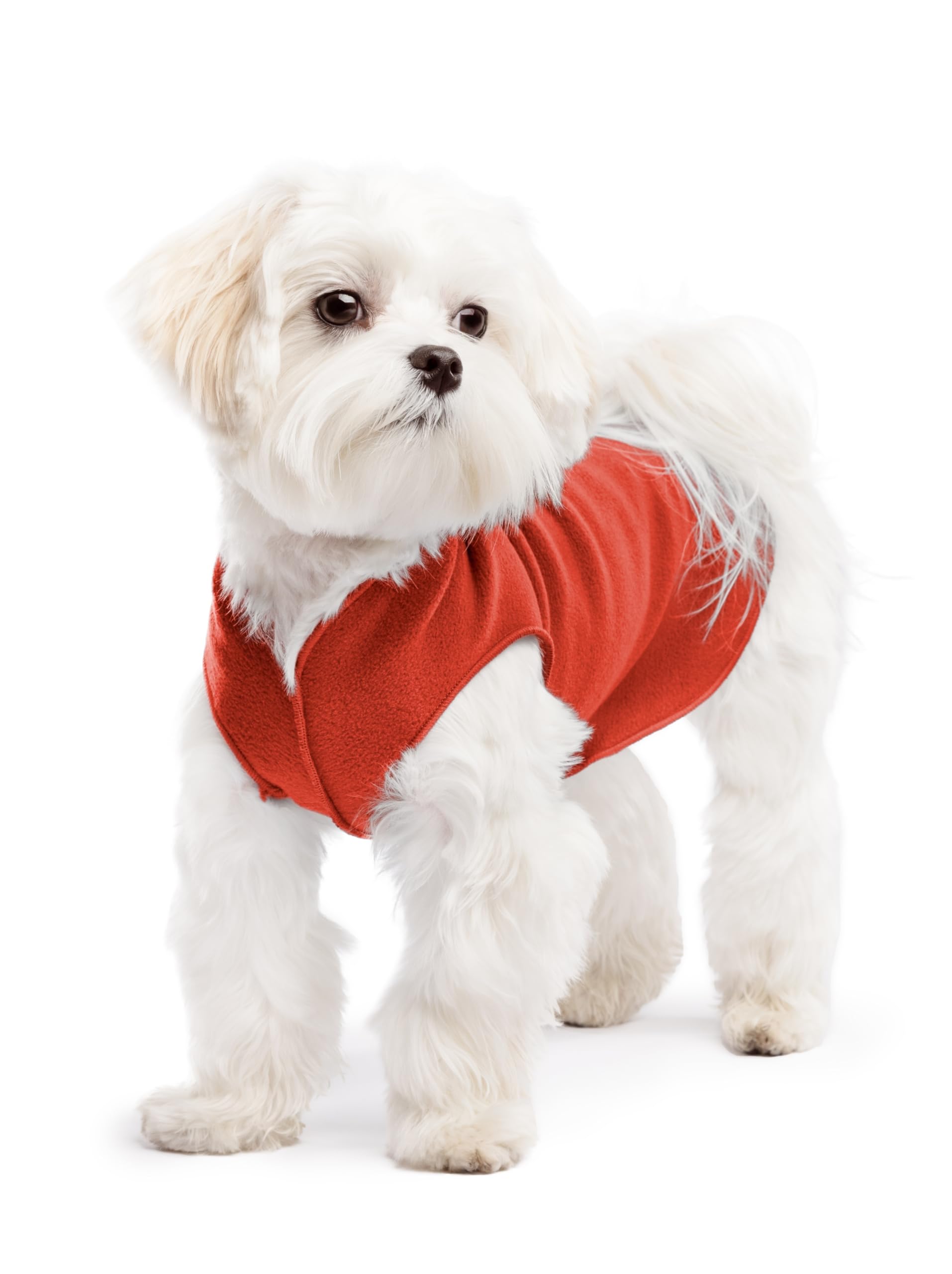Gold Paw Stretch Fleece Dog Coat, Stretchy Pet Sweater, Machine Washable Pullover For Winter And Fall, Paprika, 8