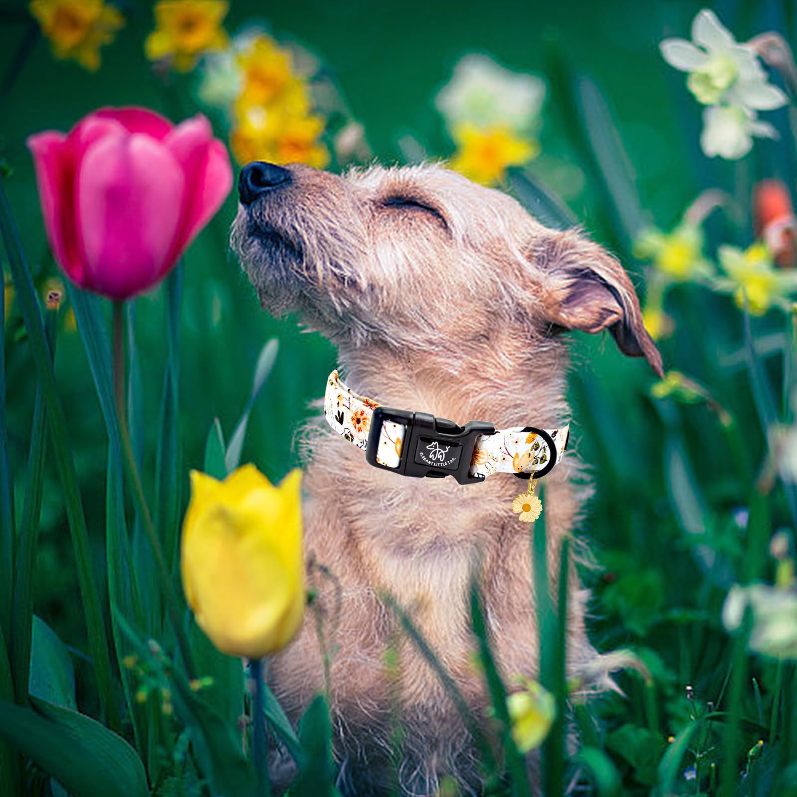 Elegant Little Tail Dog Collar, Flower Pattern Pet Collar Cute Durable Spring Female Or Male Adjustable Cotton Pet Collar With Q