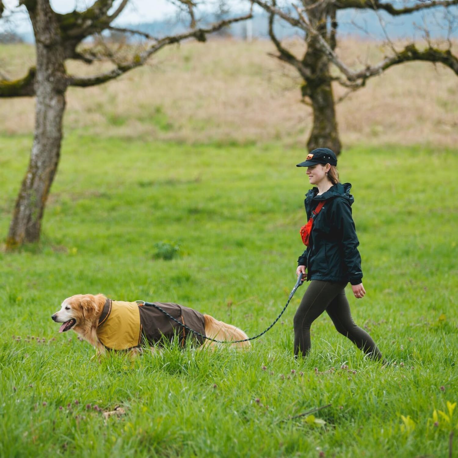 Ruffwear, Knot-A-Leash Dog Leash, Reflective Rope Lead With Carabiner, Pink, Small