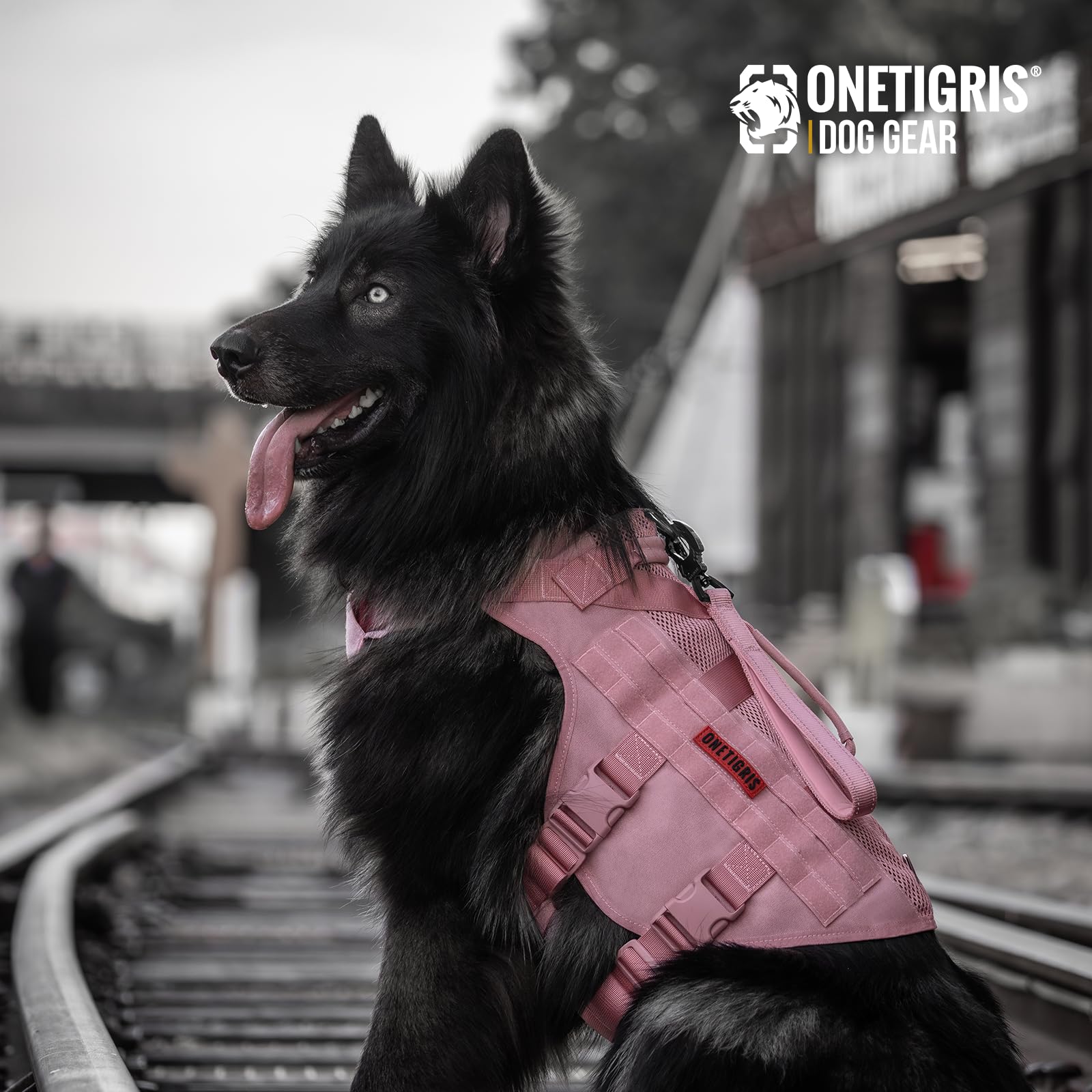 Onetigris Tactical Dog Harness For Small Dogs, No Pull Vest With Handles, Breathable Military Molle Vest For Walking Hiking Trai