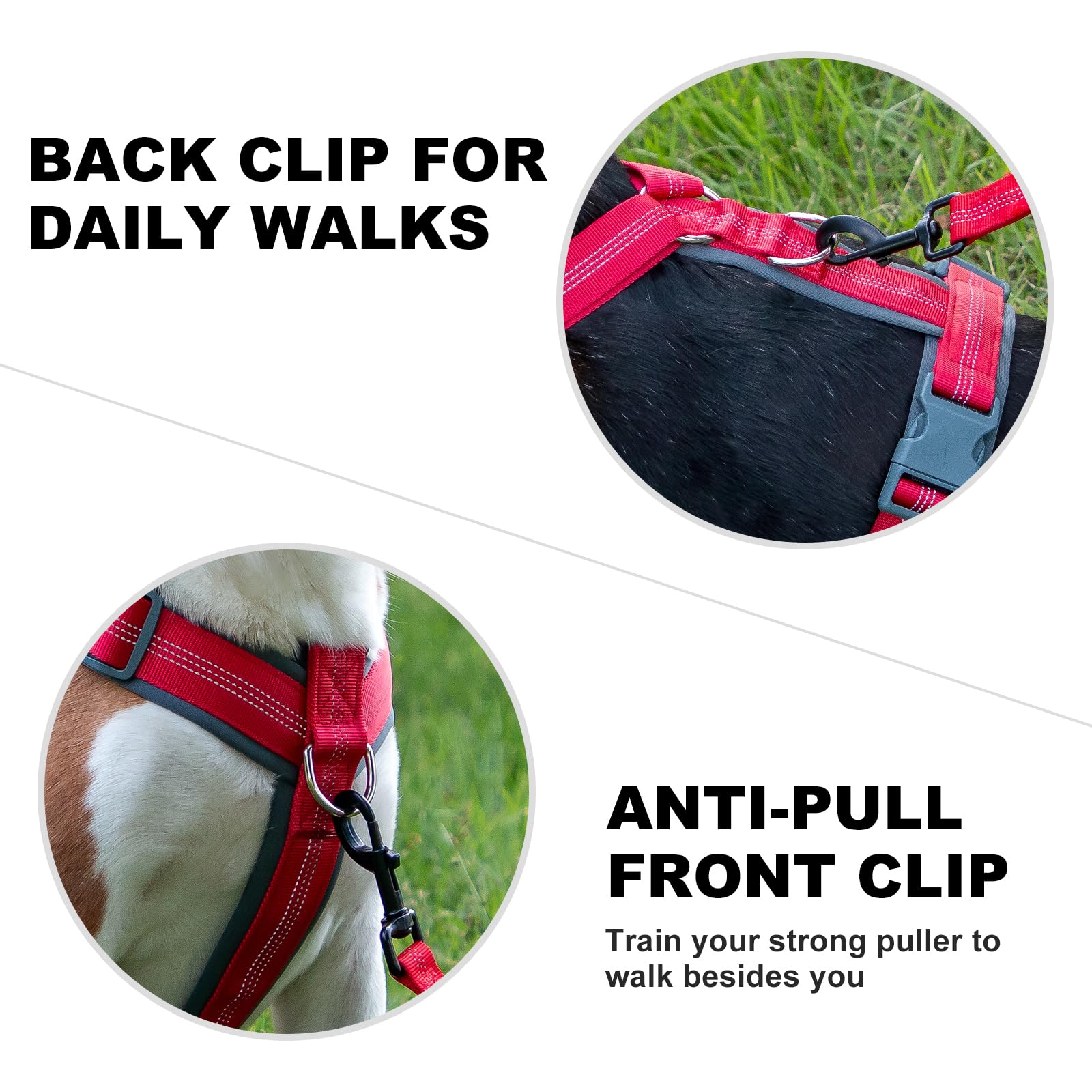 Plutus Pet No Pull Dog Harness, Adjustable Nylon Harness with Soft Padding, Reflective and Heavy Duty Dog Harness for Small, Med