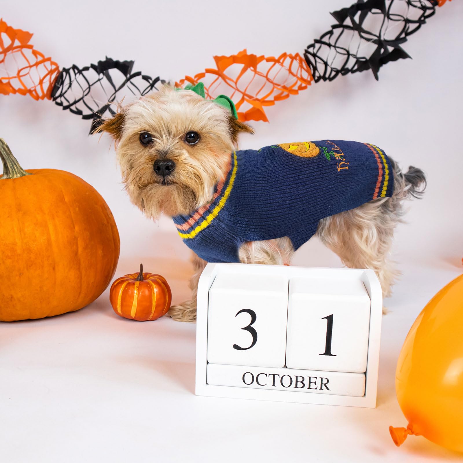 Doggyzstyle Dog Halloween Sweater Pumpkin Halloween Dog Cat Costumes With Leash Hole Puppy Turtleneck Knitwear For Small Midum Large Dogs Winter Warm Pet Clothes Funny Holiday Party Outfit (Blue,S)