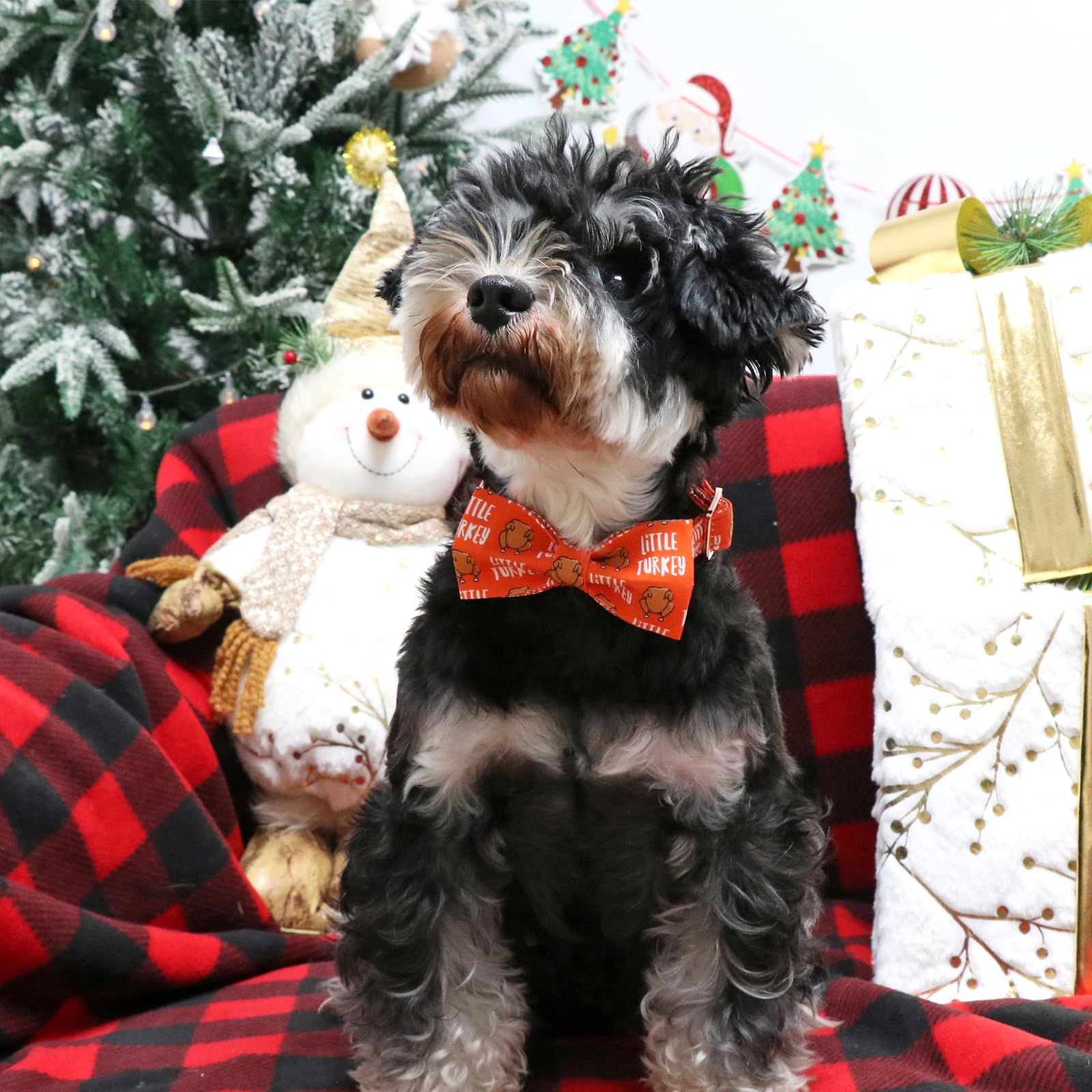 Aring Pet Thanksgiving Dog Collar-Cotton Turkey Dog Collar With Bow, Adjustable Fall Orange Turkey Pet Collars Puppy Collars Wit