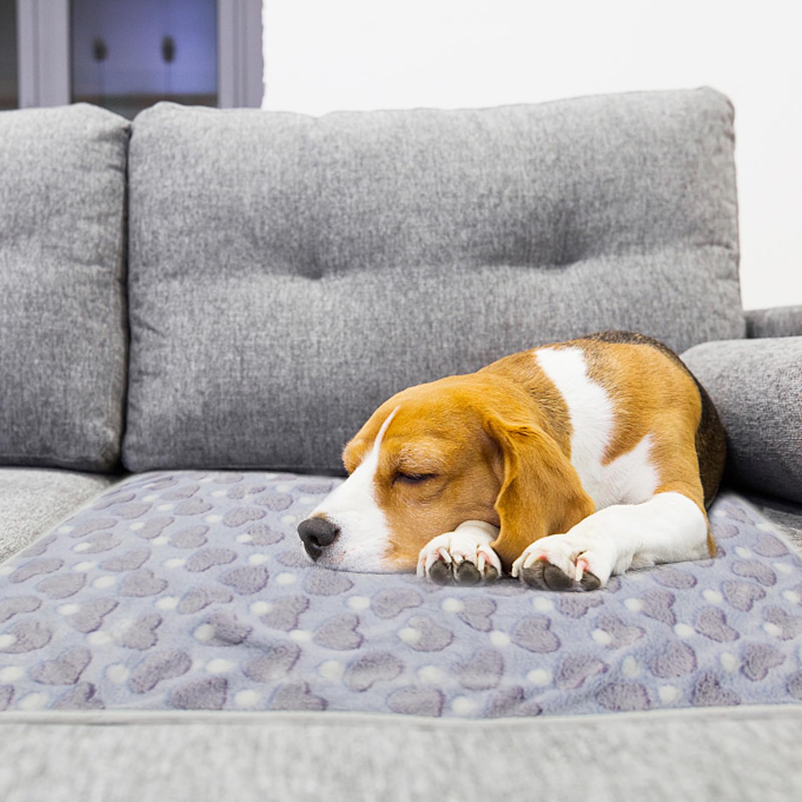 1 Pack 3 Puppy Blankets Super Soft Warm Sleep Mat Love Print Blanket Fluffy Fleece Pet Blanket Flannel Throw Dog Blankets For Small Dogs Puppy Dogs Fluffy Cats,Mix Love-Small(23'X15')