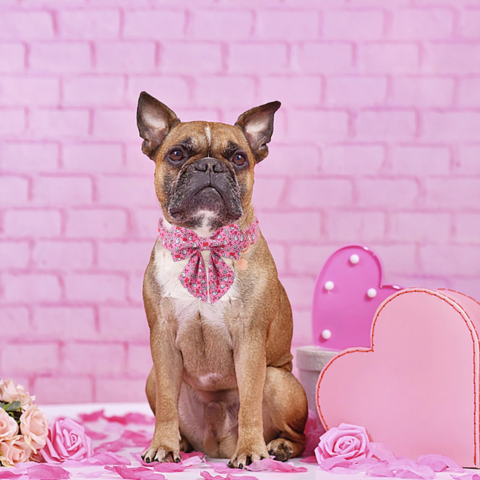 Dogwong Pink Heart Sailor Bow Dog Collar - Small, Cotton, Decorative, Unisex, Everyday Wear & Special Occasions