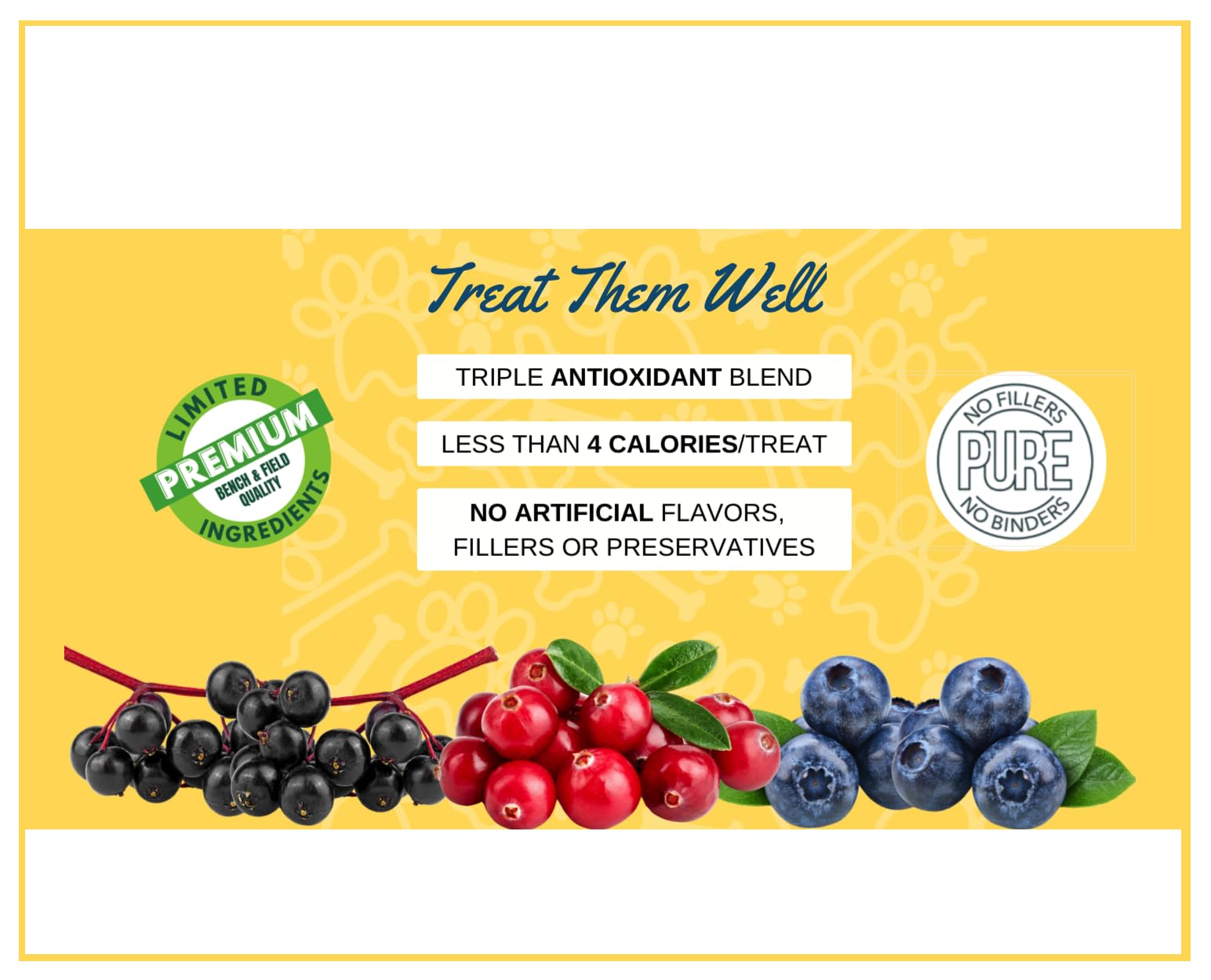 Bench & Field Holistic Natural Salmon & Triple Berry Dog Treats | Crunchy Bone-Shaped Bites | Antioxidant Blend, 10-Ounce Bottle