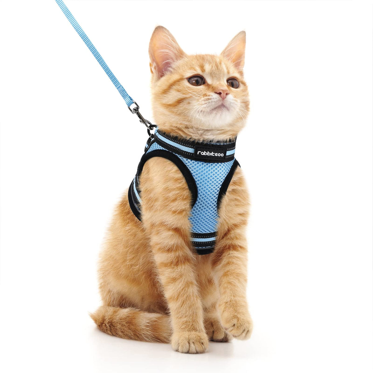 Rabbitgoo Cat Harness And Leash Set For Walking Escape Proof, Adjustable Soft Kittens Vest With Reflective Strip For Cats, Comfortable Outdoor Vest, Light Blue, M