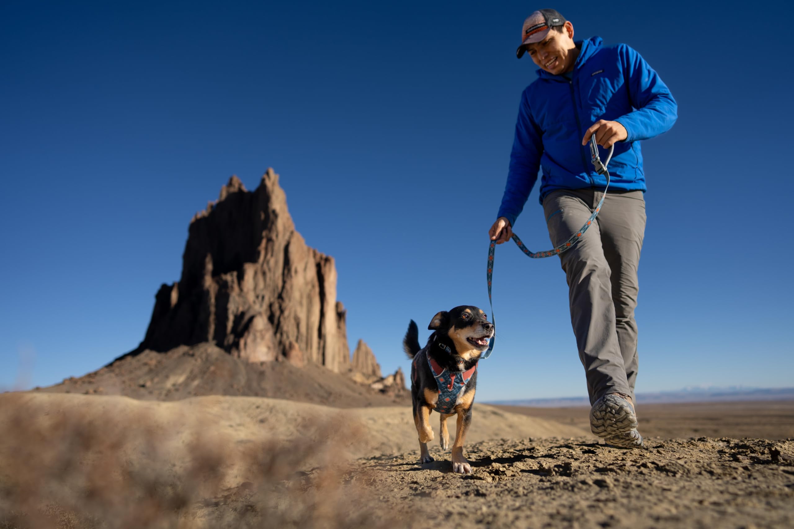 Ruffwear, Front Range Dog Leash, 5 Ft Lead With Padded Handle For Everyday Walking, Sweeping Sage