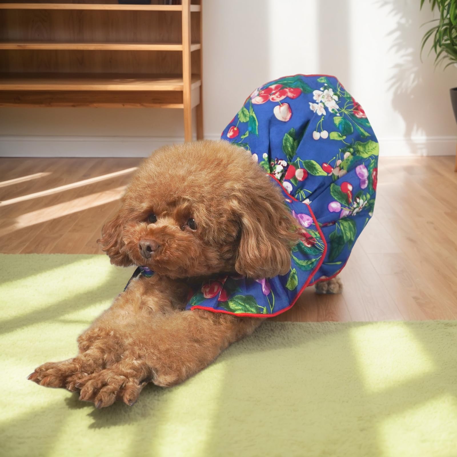 Topkins Dog Dress, Dog Evening Dress With Lace-Up, Cute Dog Sundress With Pretty Prints For Small Dog (Blue, S)