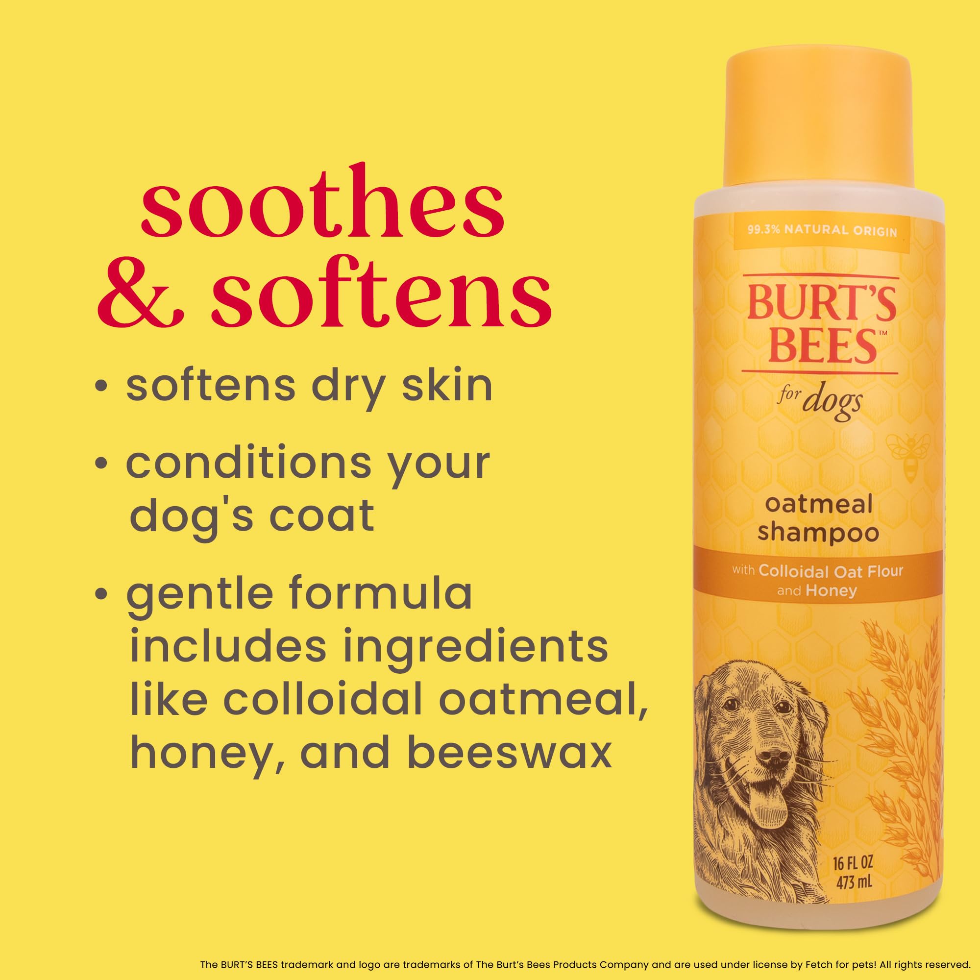 Burt'S Bees For Pets Oatmeal Dog Shampoo | With Colloidal Oat Flour & Honey | Moisturizing & Nourishing, Cruelty Free, Sulfate & Paraben Free, Ph Balanced For Dogs - Made In Usa, 16 Oz