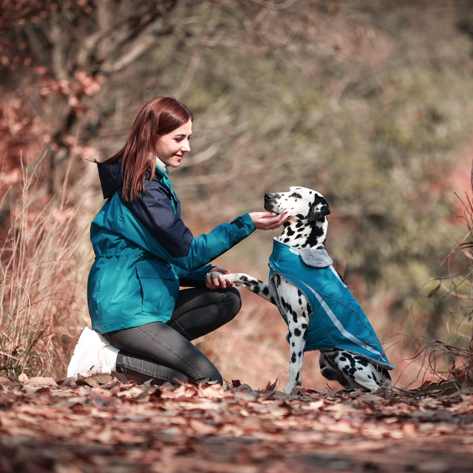 Vivaglory Dog Coat - Lightweight Cozy Fleece Lined Jacket For Late Autumn And Early Winter, Water Resistant, Turquoise