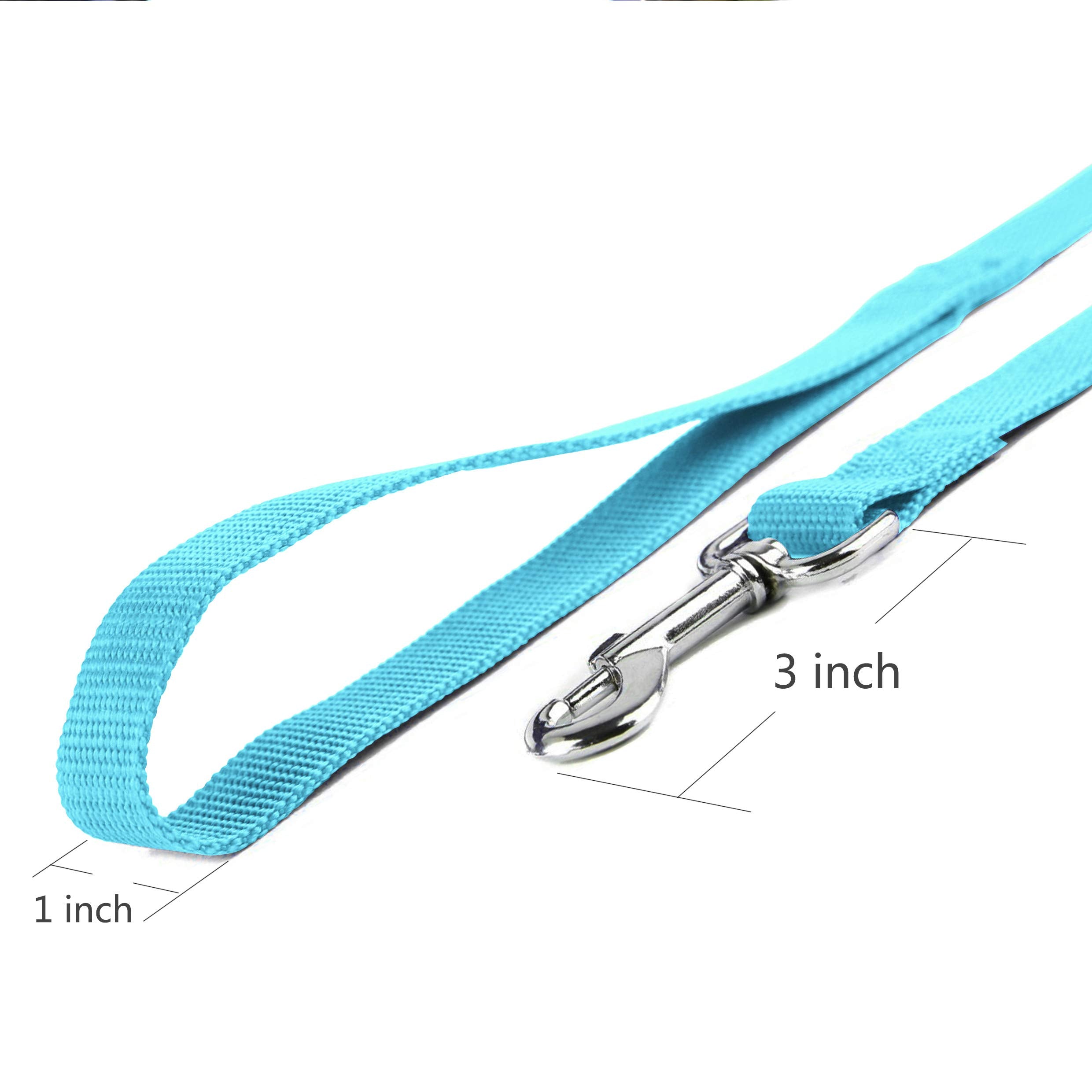 Jeckpat 10Ft Mint Blue Dog Leashes Long Line Training Leash,For Large,Medium And Small Dogs,Long Puppy Lead,For Training,Backyar