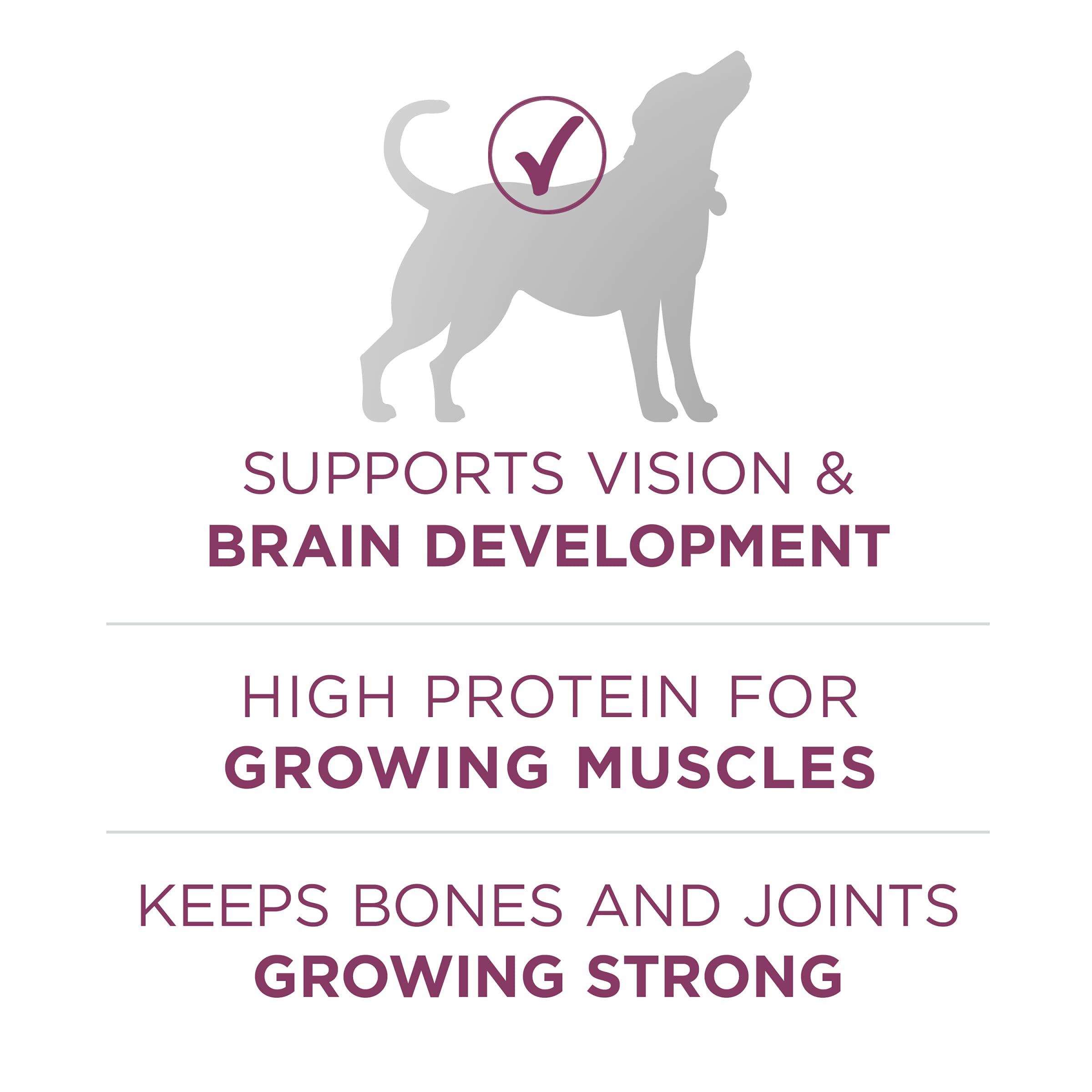 Purina ONE Plus Healthy Puppy Formula High Protein Natural Dry Puppy Food with added vitamins, minerals and nutrients - (Pack of