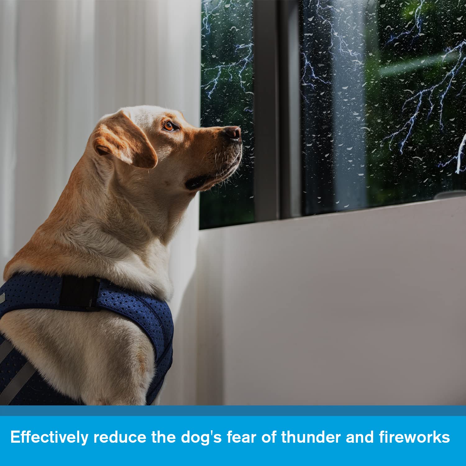 Yrenoer Dog Anxiety Vest, Comfort Dog Anxiety Relief Jacket, Breathable Shirts For Dogs, Soft Dog Anxiety Coat Vest, Puppy Anxiety Warp Calming Shirt For Pet (Xl, Blue)