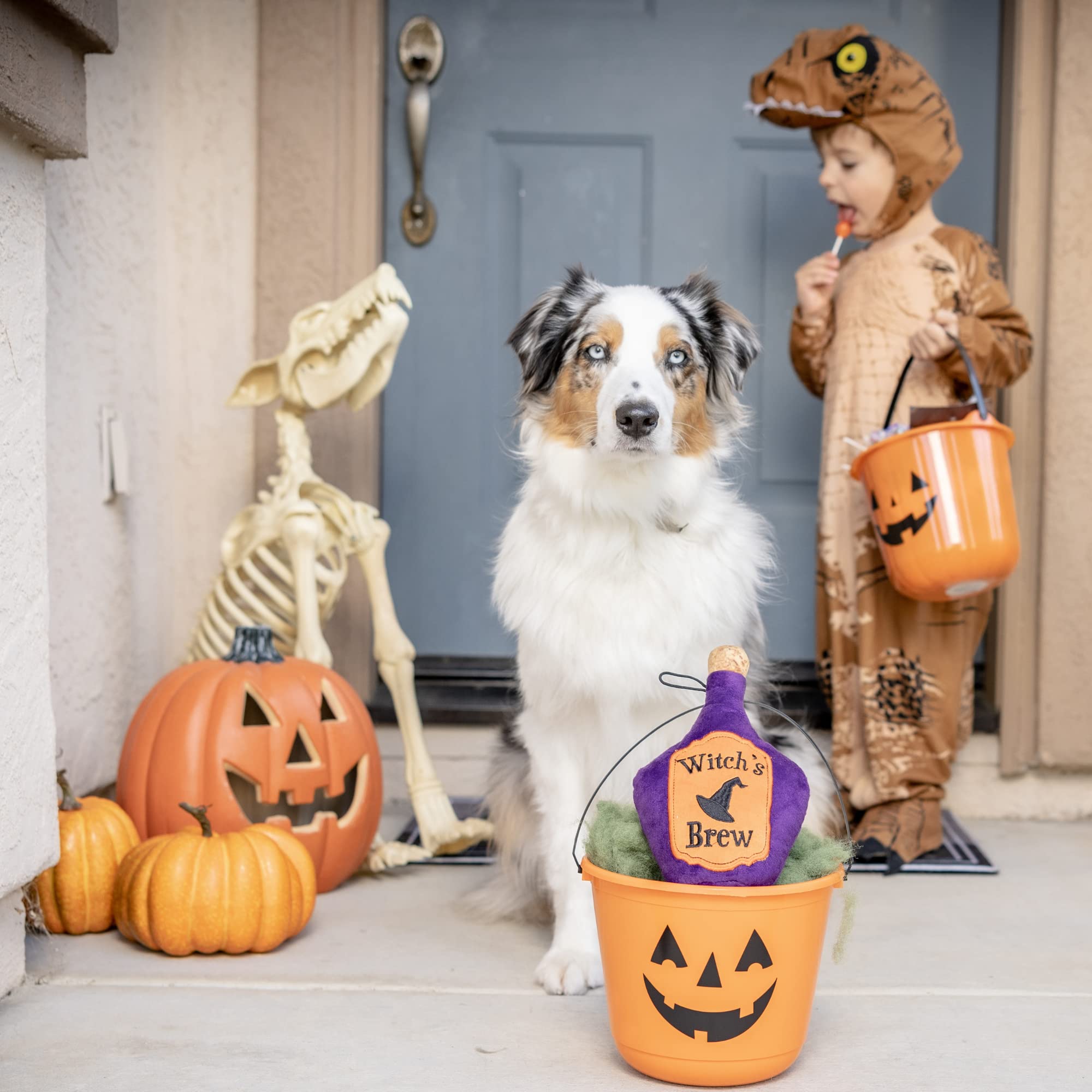 Huxley & Kent For Dogs | Witch'S Brew | Halloween Power Plush Dog Toy With Squeaker | Funny Dog Toy Gift | Fun, Durable, And Safe | H&K Squeaky Dog Toys