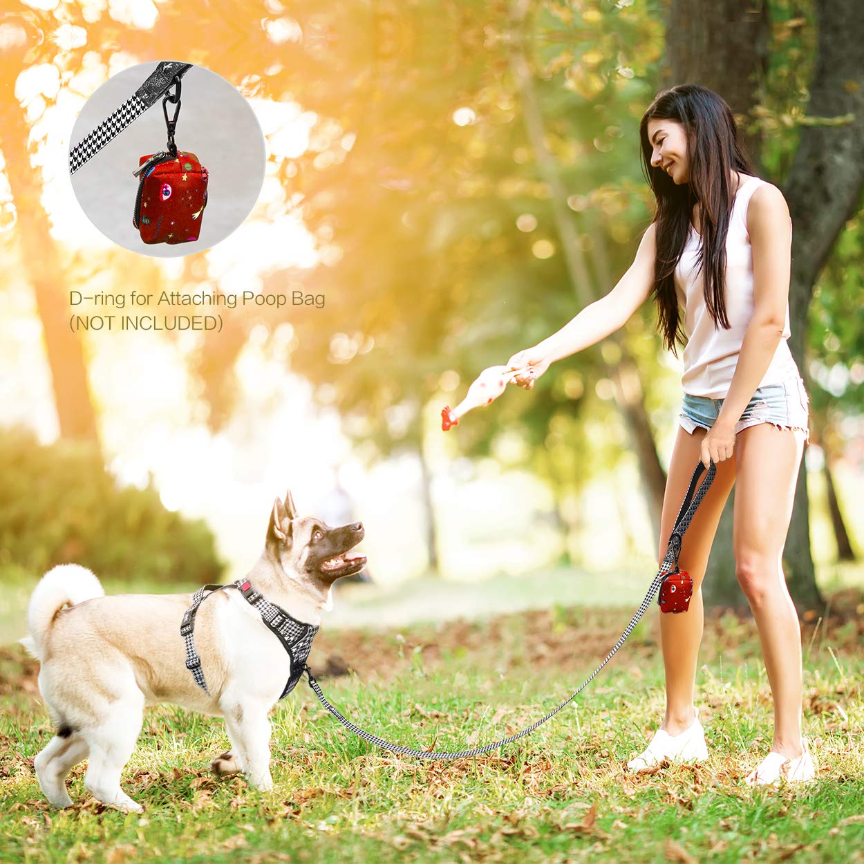 Poypet 5 Feet Dog Leash With Padded Handle For Small Medium And Large Dogs(Houndstooth)