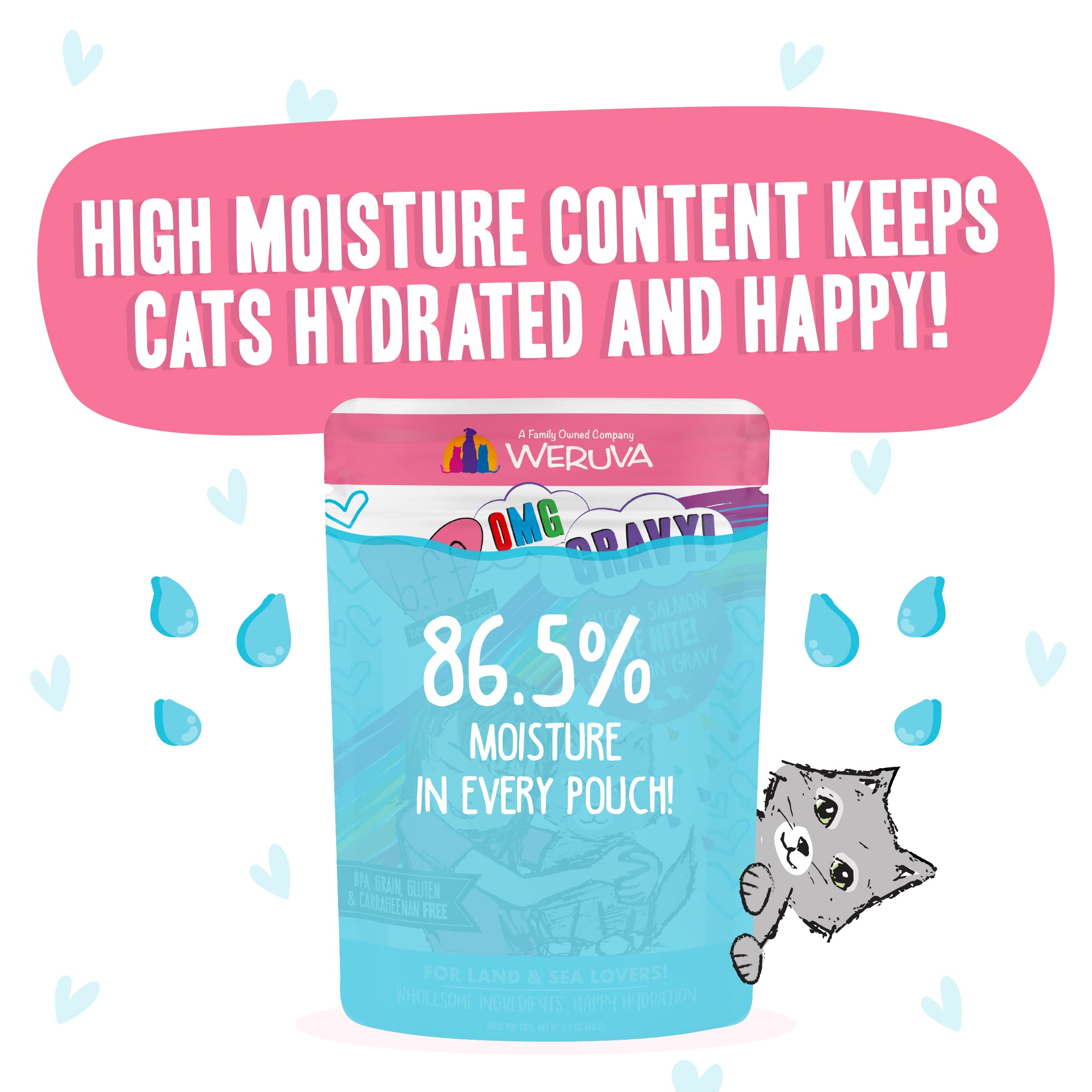 Weruva B.F.F. OMG - Best Feline Friend Oh My Gravy!, Date Nite! with Duck & Salmon in Gravy Cat Food, 2.8oz Pouch (Pack of 12)