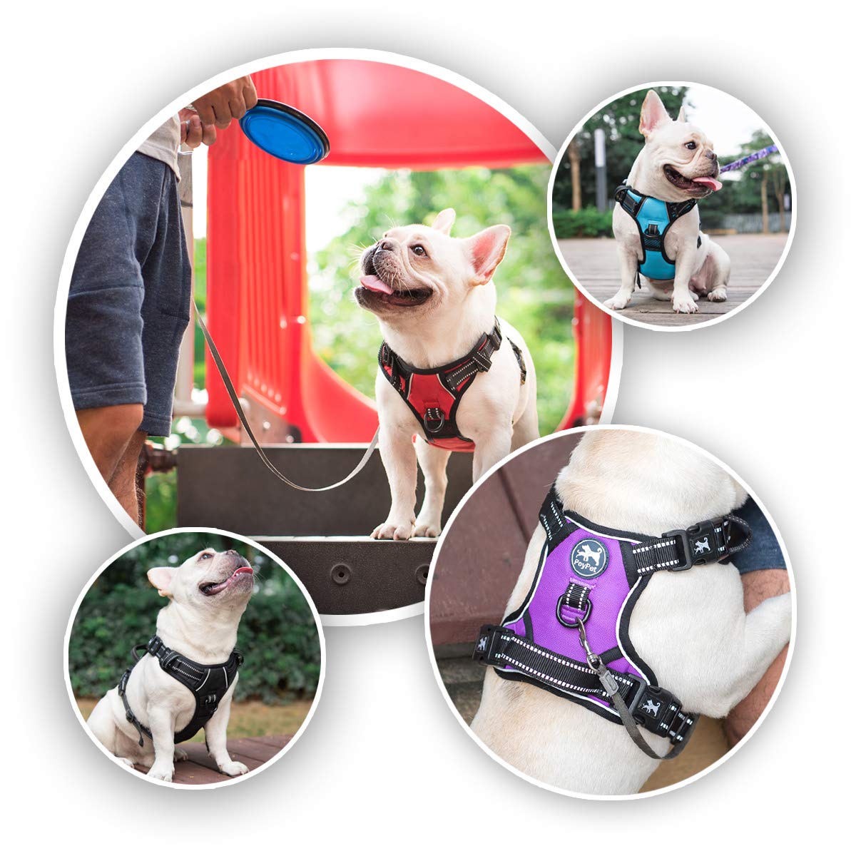 Poypet 2019 Upgraded No Pull Dog Harness With 4 Snap Buckles, 3M Reflective With Front & Back 2 Leash Hooks And An Easy Control Handle For Large Breed Dogs [No Need Go Over Dog’S Head] (Black,Xl)