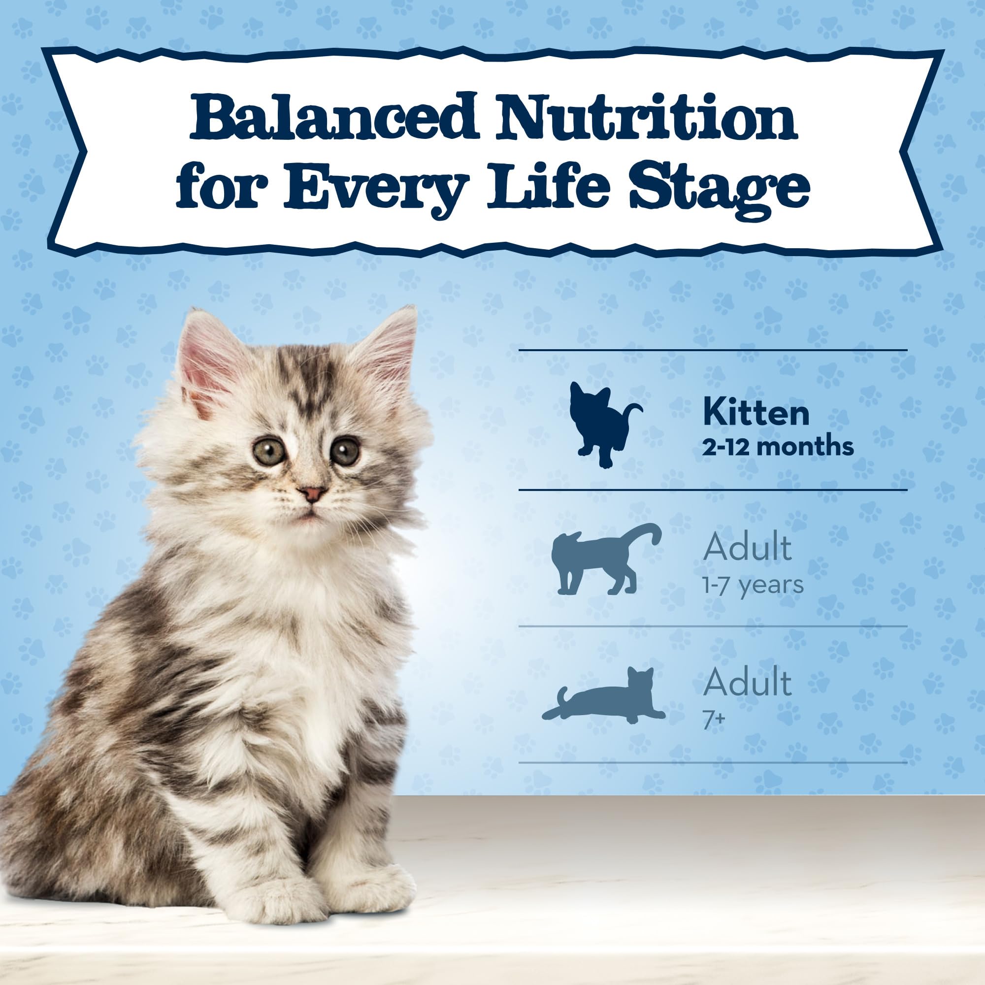 Blue Buffalo Baby BLUE Natural Kitten Grain-Free Dry Cat Food, High-Protein Healthy Growth Formula with DHA, Savory Chicken, 2-l