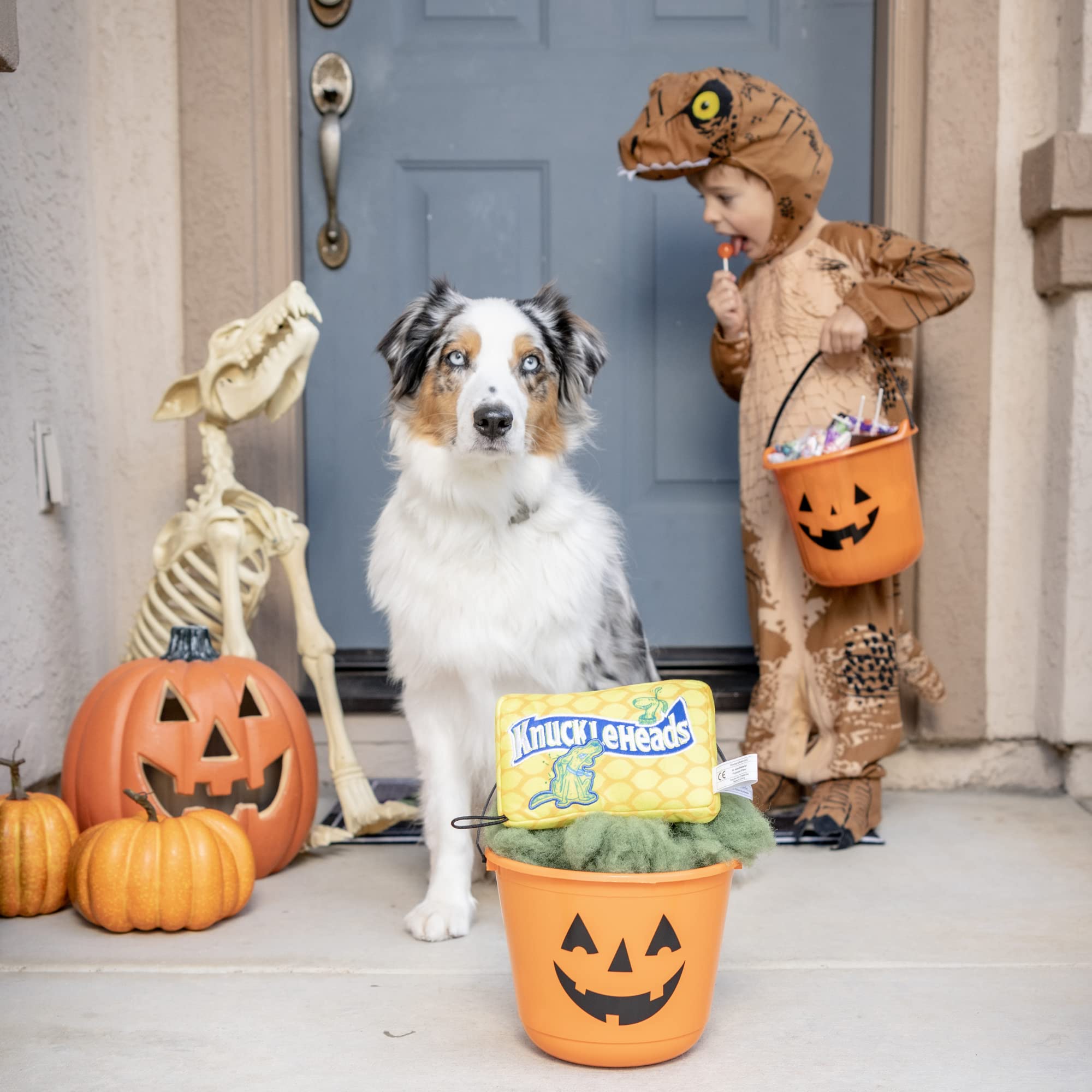 Huxley & Kent For Dogs | Knuckleheads (Large) | Halloween Candy Dog Toy With Squeaker | Funny Dog Toy Gift | Fun, Durable, And Safe | H&K Squeaky Dog