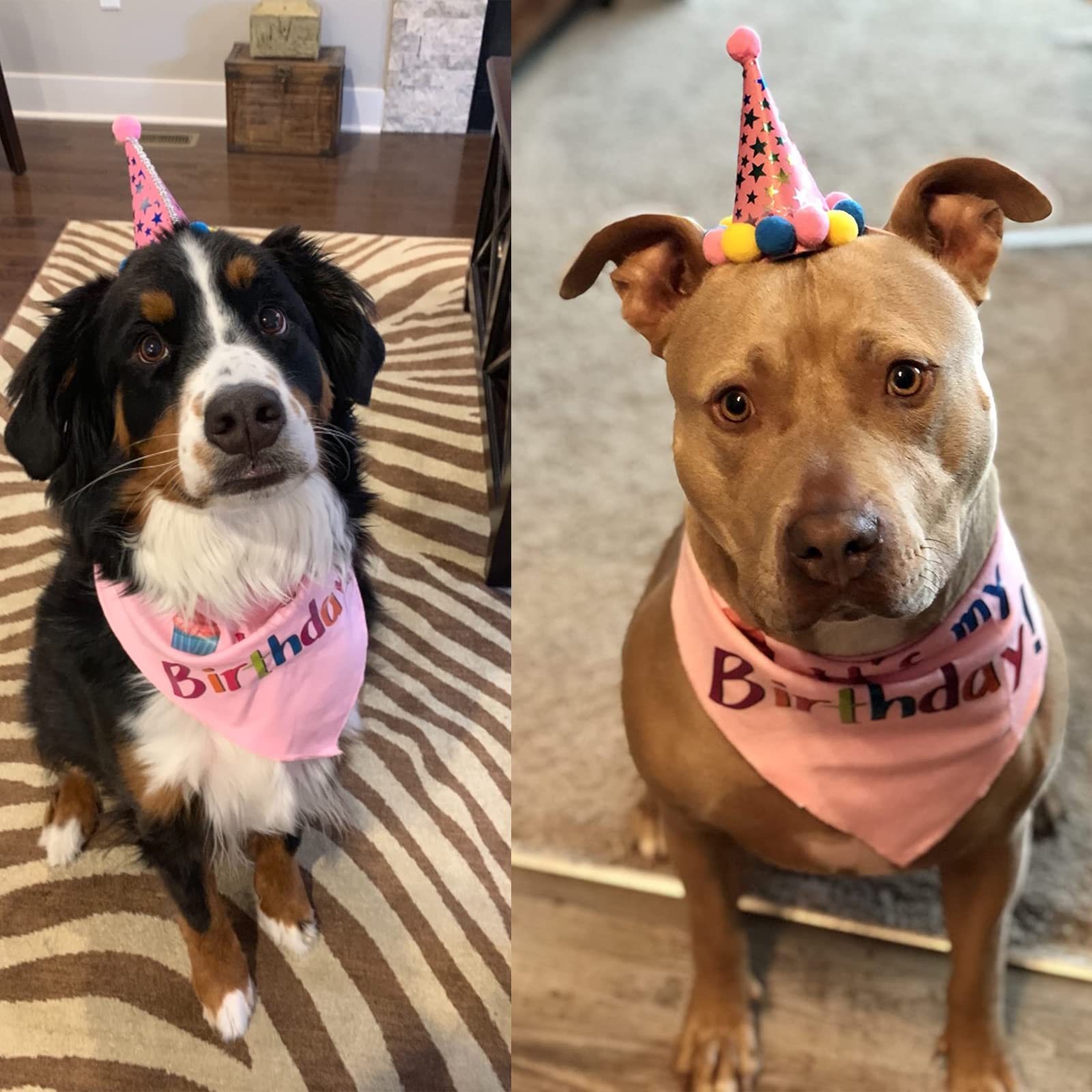 Pupteck Dog Birthday Bandana Scarfs With Cute Doggie Birthday Party Hat