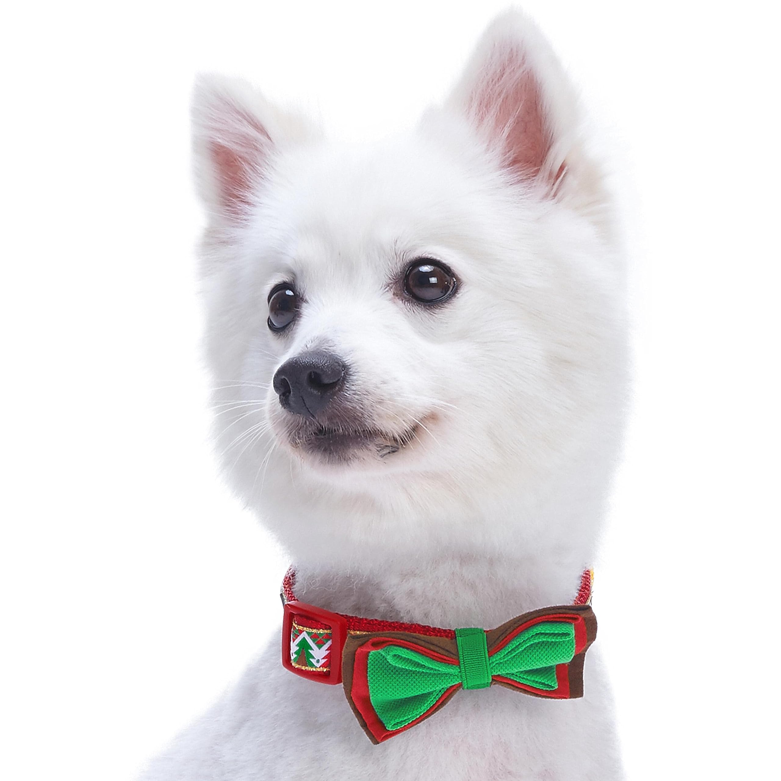 Blueberry Pet 4 Patterns Christmas Charm Breezy Trees Adjustable Dog Collar With Detachable Bow Tie, Medium, Neck 14.5'-20'