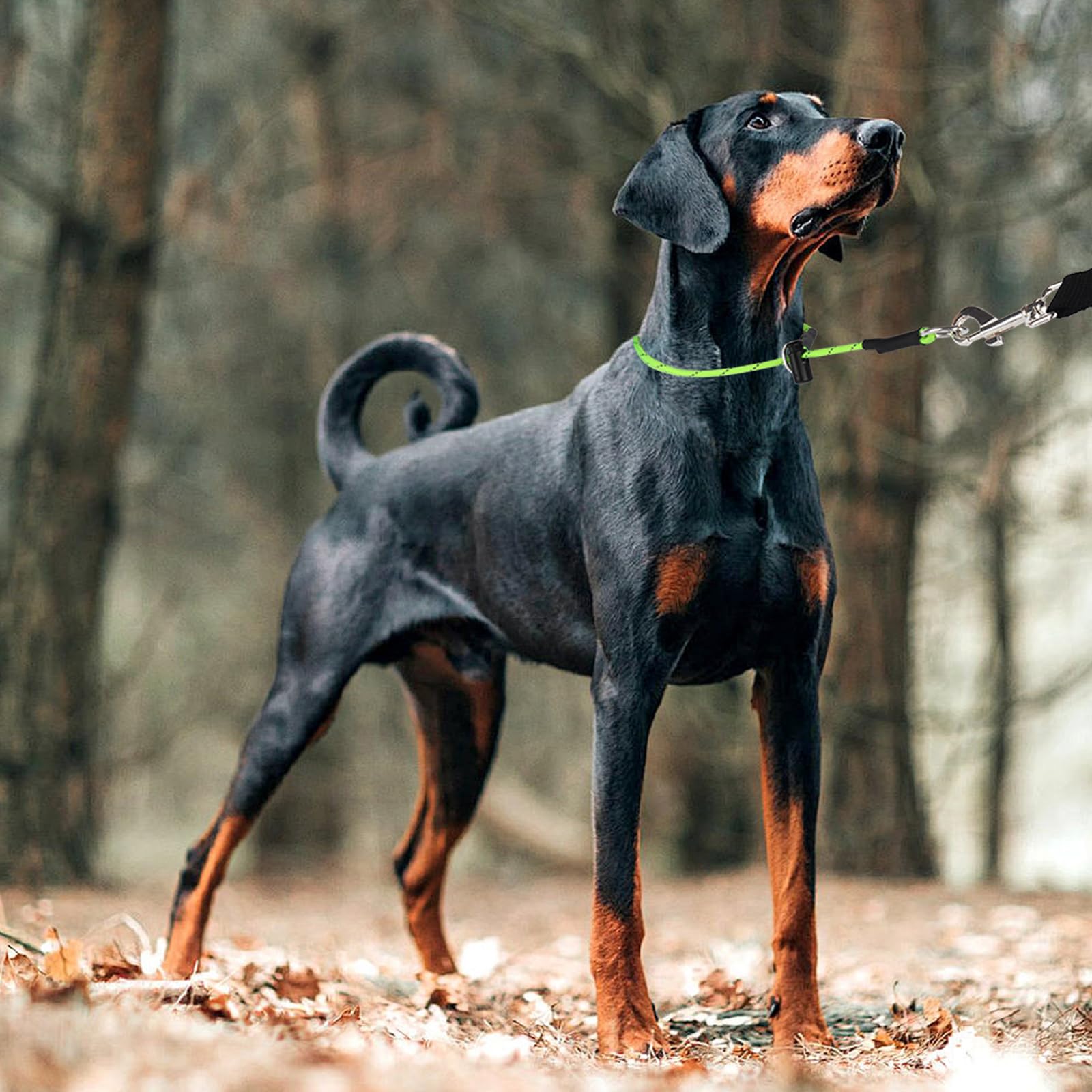 Prong Collar For Dogs No-Pull Dog Collar 18'' 4.2Mm 1000Lb Thin Paracord Reflective Slip Collars With Adjustable Stopper & Sturd