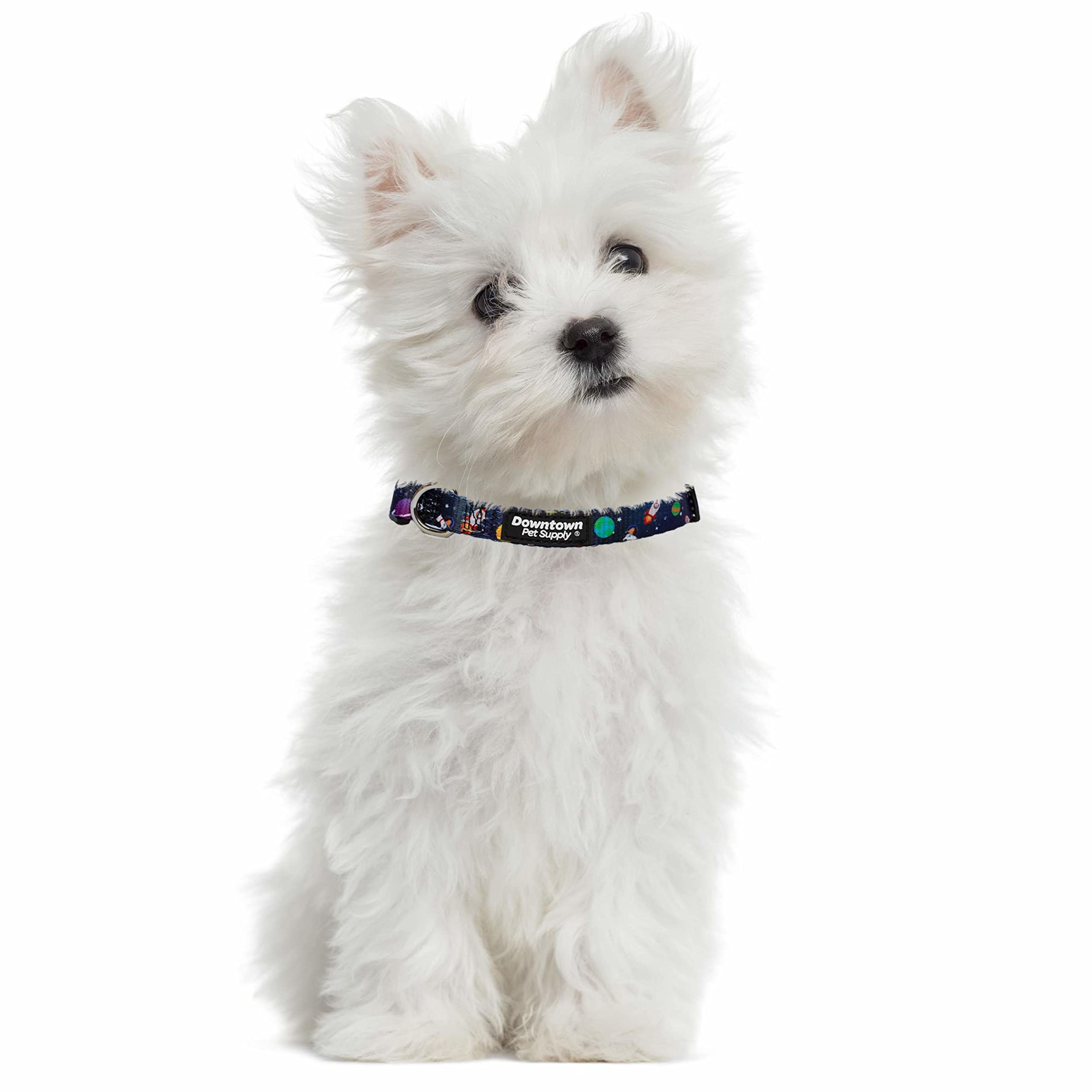 Downtown Pet Supply - Best & Fancy Adjustable Dog Collar With Quick Buckle & D-Ring - Hand Wash Safe - Medium