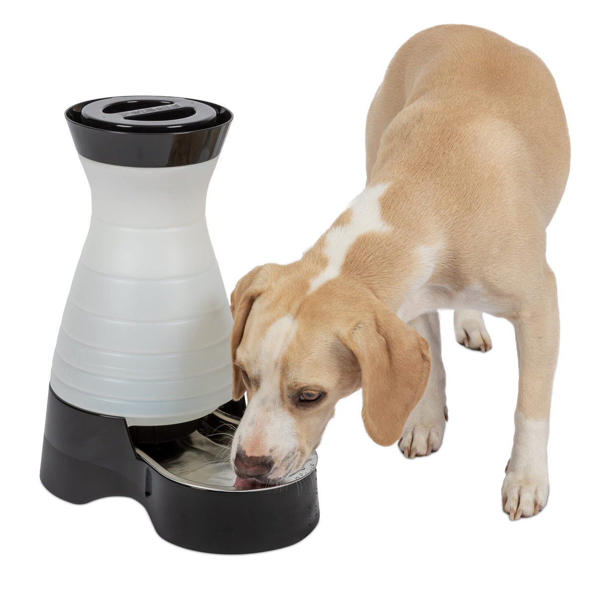 Petsafe Healthy Pet Water Station - Medium, 128 Oz Capacity - Gravity Pet Water Fountain, Automatic Cat Water Fountain, Dog Water Fountain, Water Dispenser - Removable Stainless Steel Bowl Included