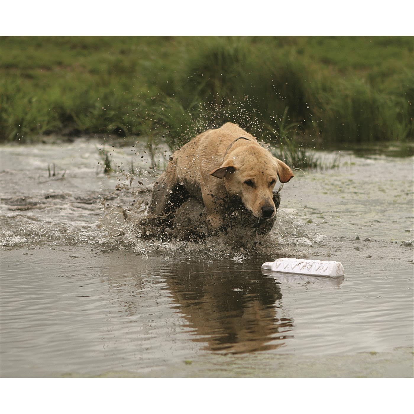Avery ASD HexaBumper - Sporting Dog Floating Training Dummy with Hex Design & Throw Rope (White, 3'' Diameter Single Pack)