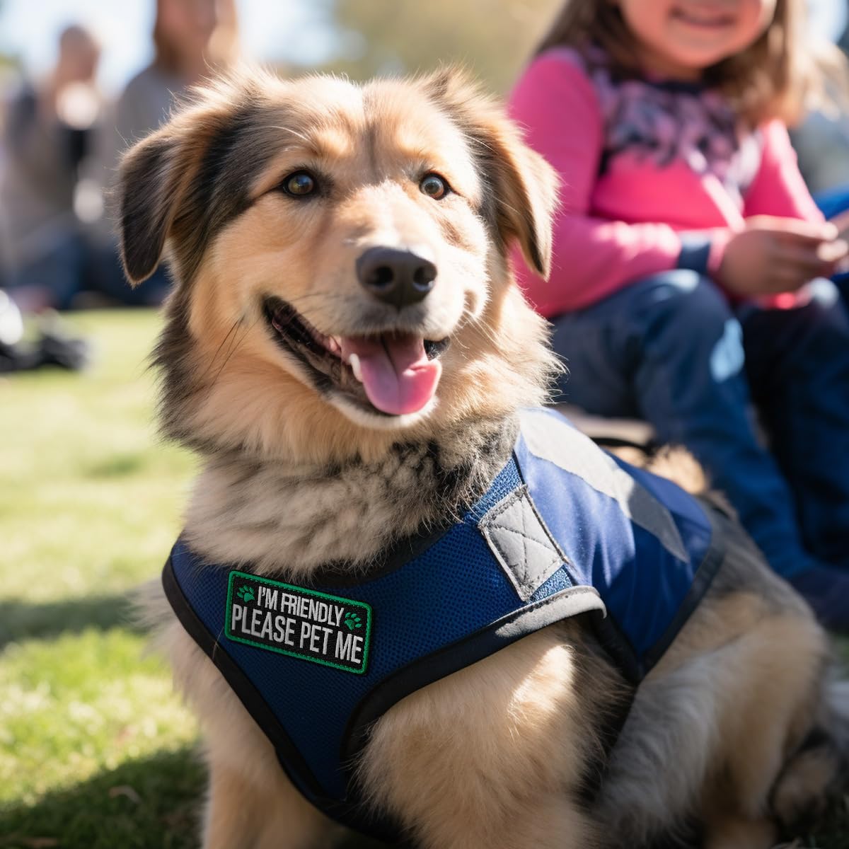 TACVEL 2 Pieces I'm Friendly Please Pet Me Dog Patches, Service Dog Patches with Hook Backing for Service Animal Vests, Harnesse