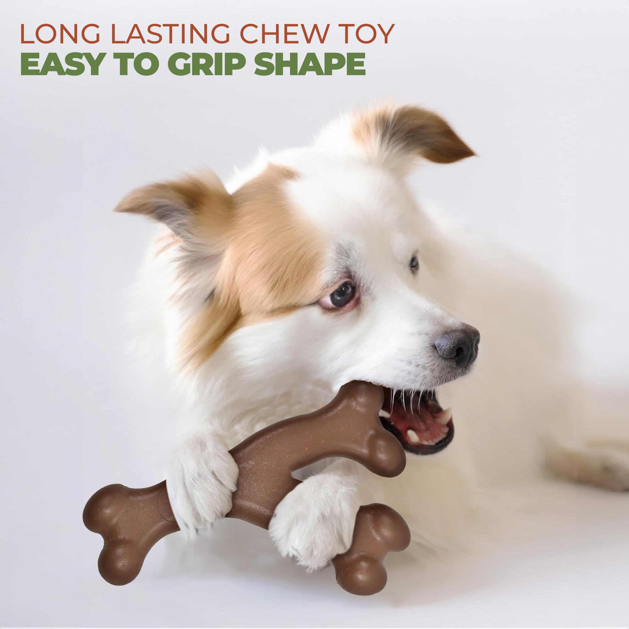 PET TOY DG BONE BACON 7 (Pack of 1)